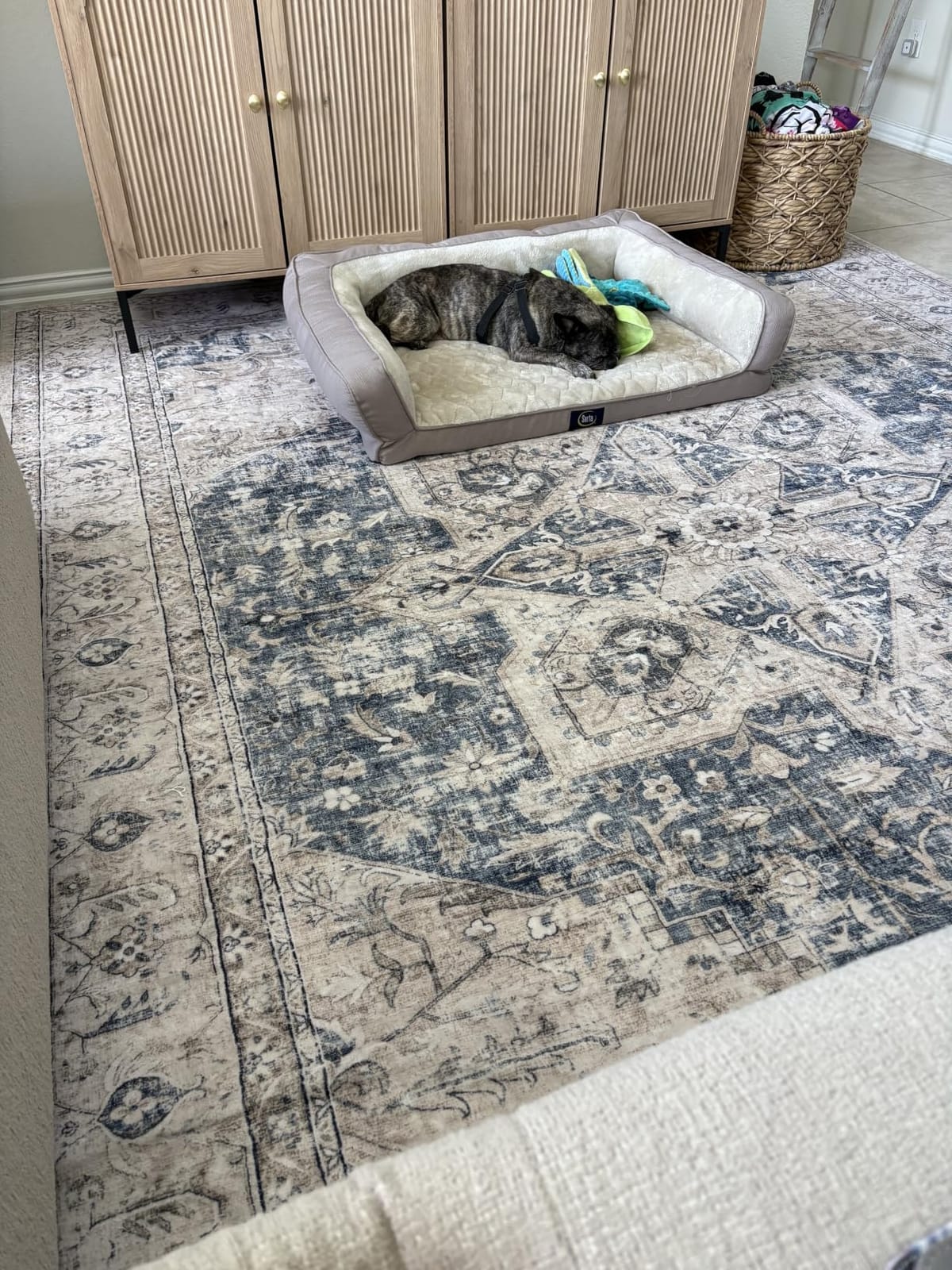 Tortania Area Rug 9x12 Living Room Rug Washable Soft Cream/Blue | Vintage Oriental Farmhouse Carpet for Bedroom/Office/Under Dining Table, Home Decor Low Pile Busy Home Use customer photo 1