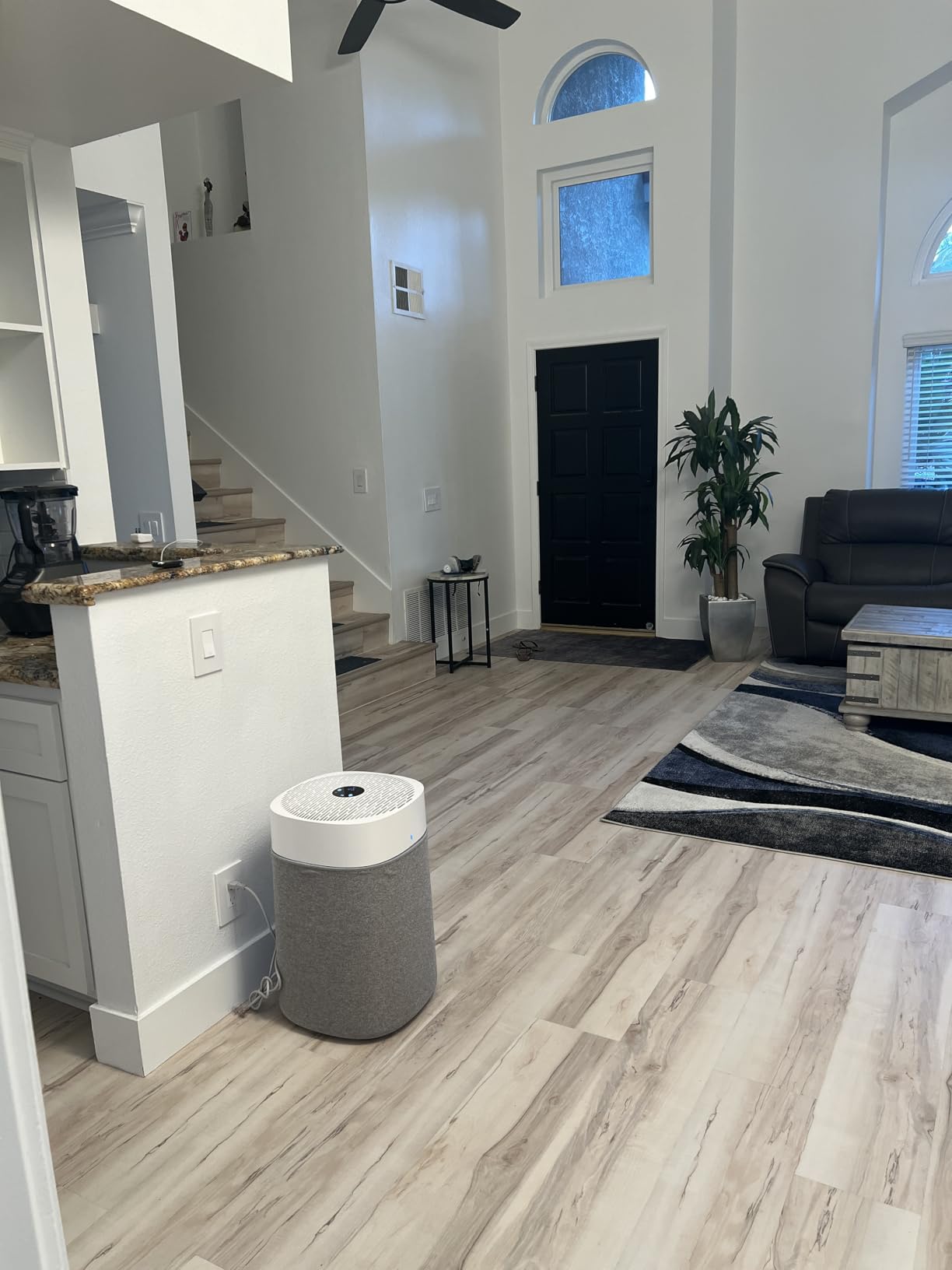 Blueair Blue Pure 211i Max customer photo 1