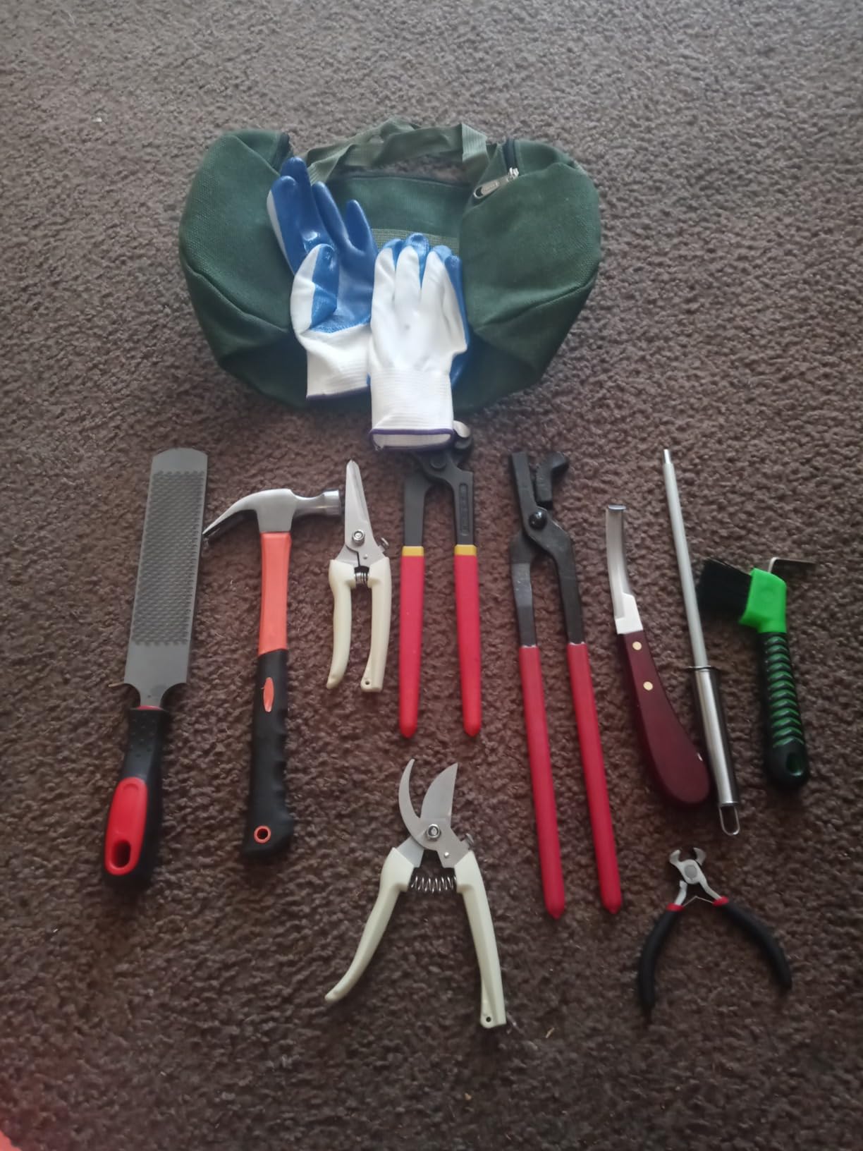 Farrier Tools 12 Pcs Horse Farrier Tools Labor Saving Hoof Trimming Care Tools for Horses Cattle Sheep and Donkeys customer photo 2