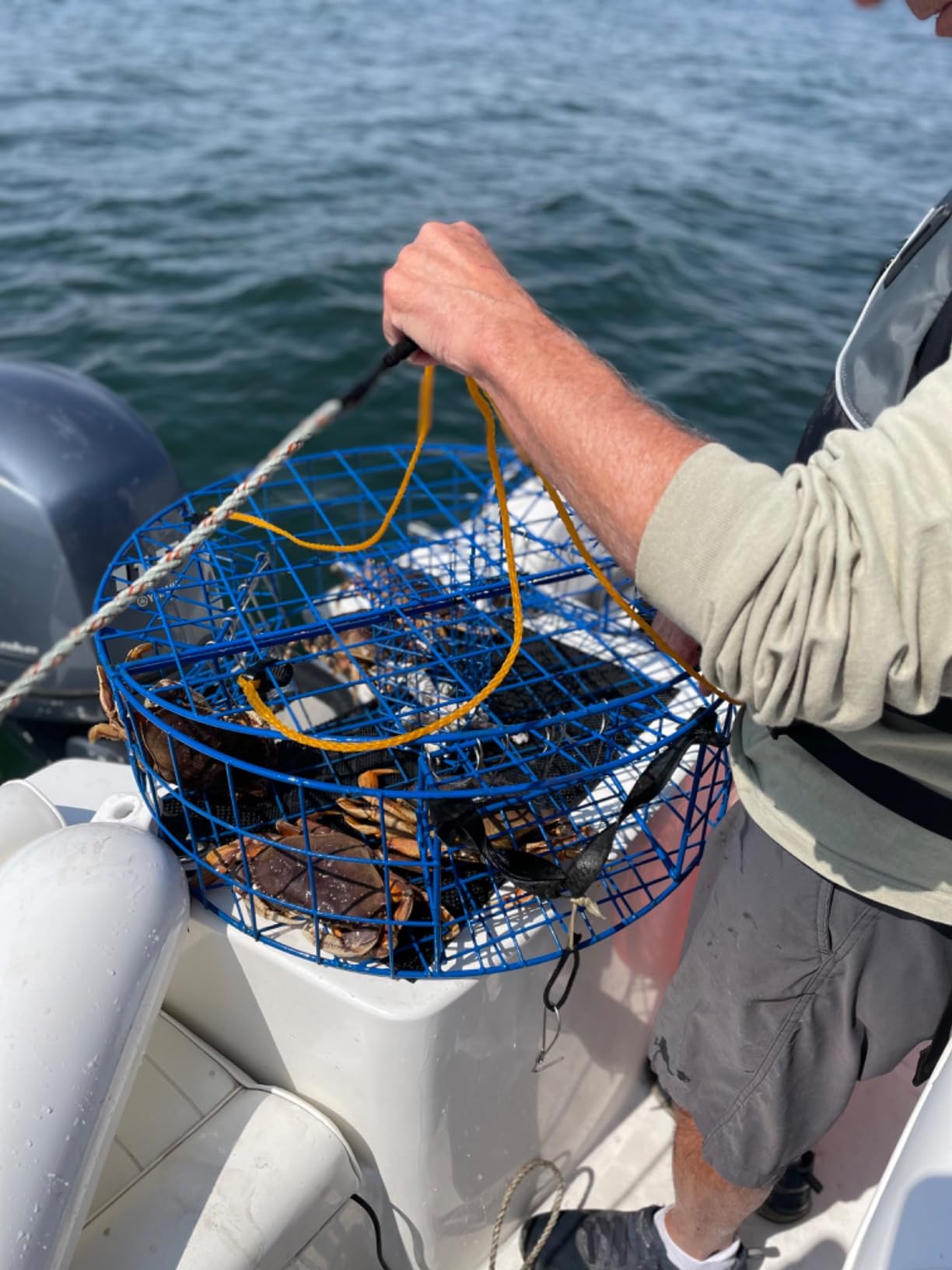 Heavy Duty Crab Pot Trap Pacific 3 Tunnel with 2 Doors(30''Dia-10''Tall) Crabbing Kit for Dungeness customer photo 2