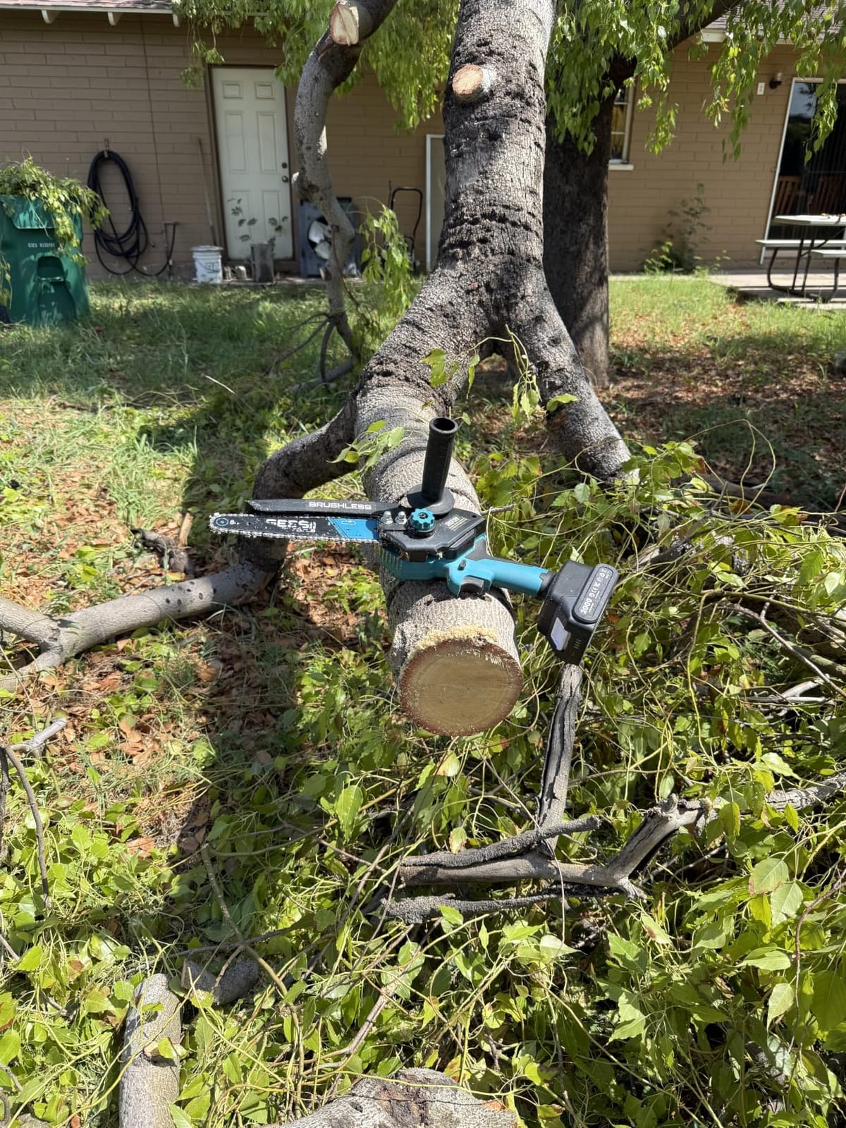 SEESII 2-in-1 Cordless 8 Inch Pole Saw & Mini Chainsaw, 2×4.0Ah Batteries | Brushless Chain Saw with Extension Pole, Long Reach Power Electric Polesaw for Tree Trimming Limb Branch Cutter customer photo 1