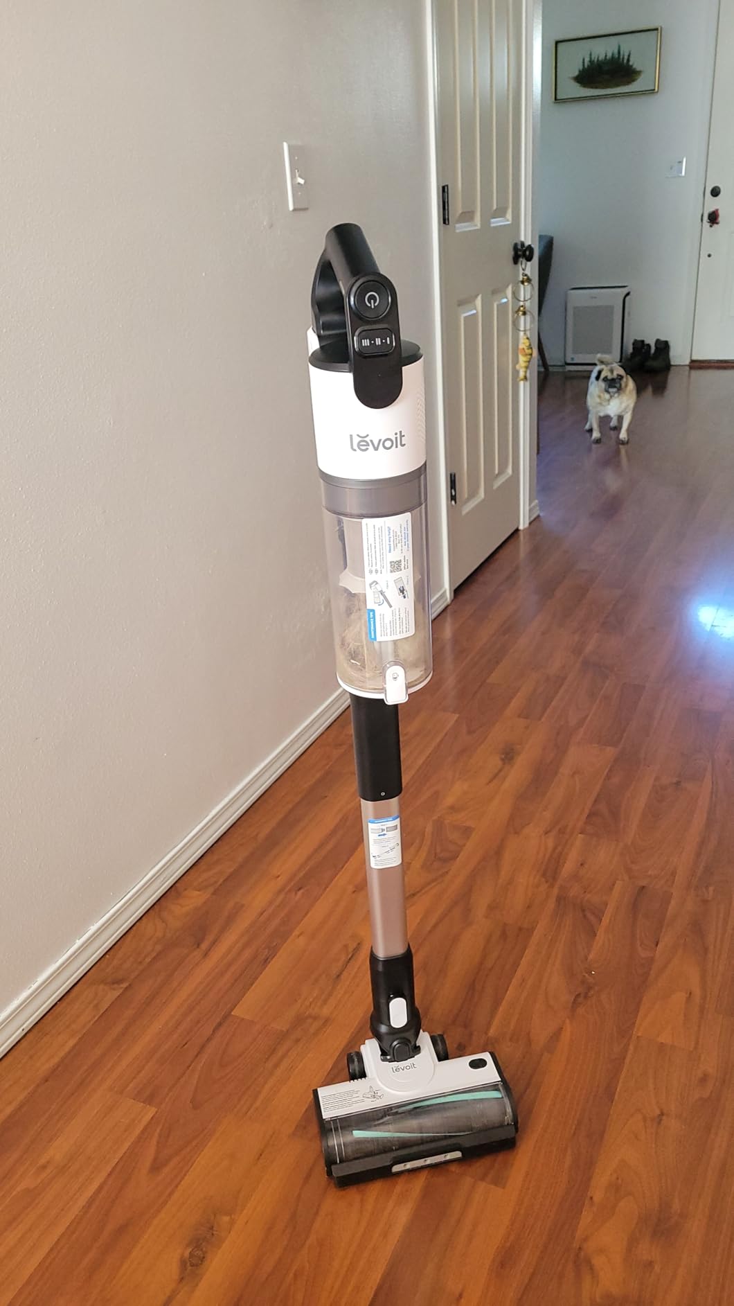 Levoit Cordless Vacuum Cleaner, Anti-Tangle for Pet Hair, Up to 50 Minutes | Powerful Suction, Lightweight, Rechargeable, Versatile for Carpets & Hard Floors, 180° Lay-Flat Design, LVAC-200 customer photo 1