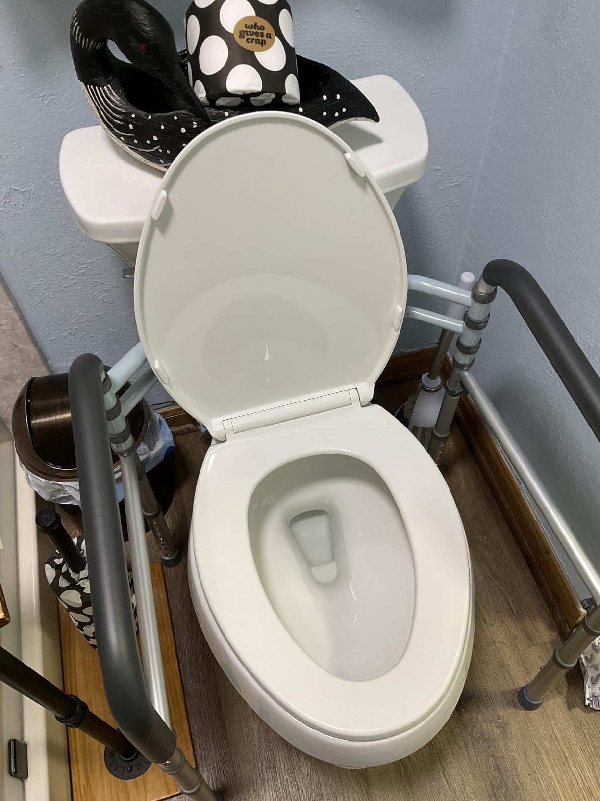 Lianjindun Toilet Safety Rails, 350 lbs, Adjustable Height & Width | Fits Most Toilets, Foldable Design, Aluminum Toilet Frame, Toilet Handles for Seniors, Disabled, Handicap customer photo 2