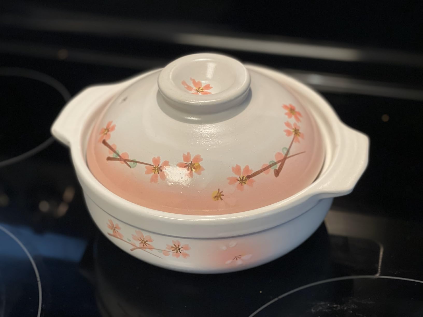 Clay Pot for Cooking Japanese Donabe Hot Pot Casserole Korean Earthenware Pot with Lid, Serving 3-4 People, 9.25 inch customer photo 1