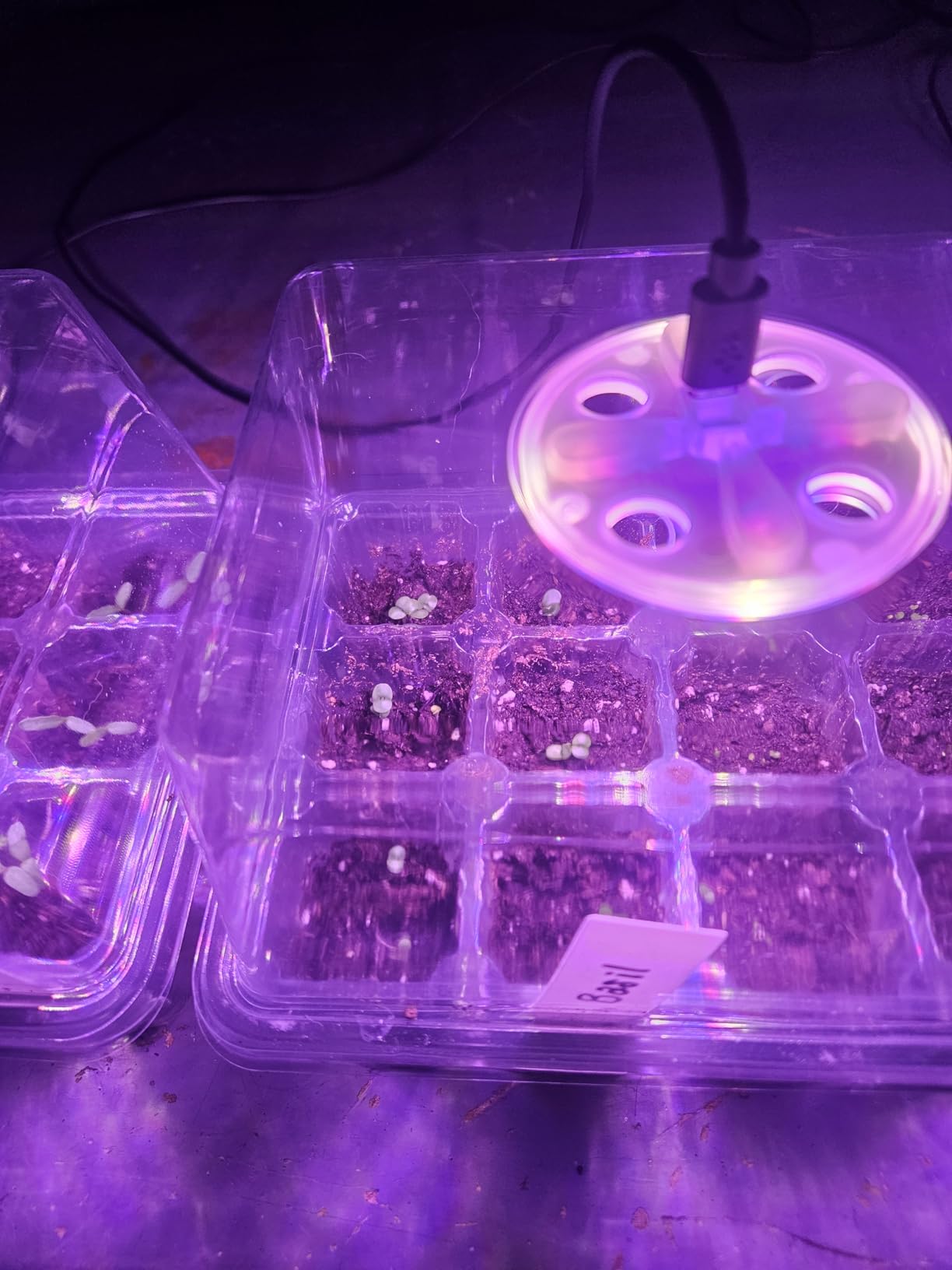 Bonviee Seed Starter Trays with 12-LED Grow Lights, Clear, 5 Pack customer photo 2