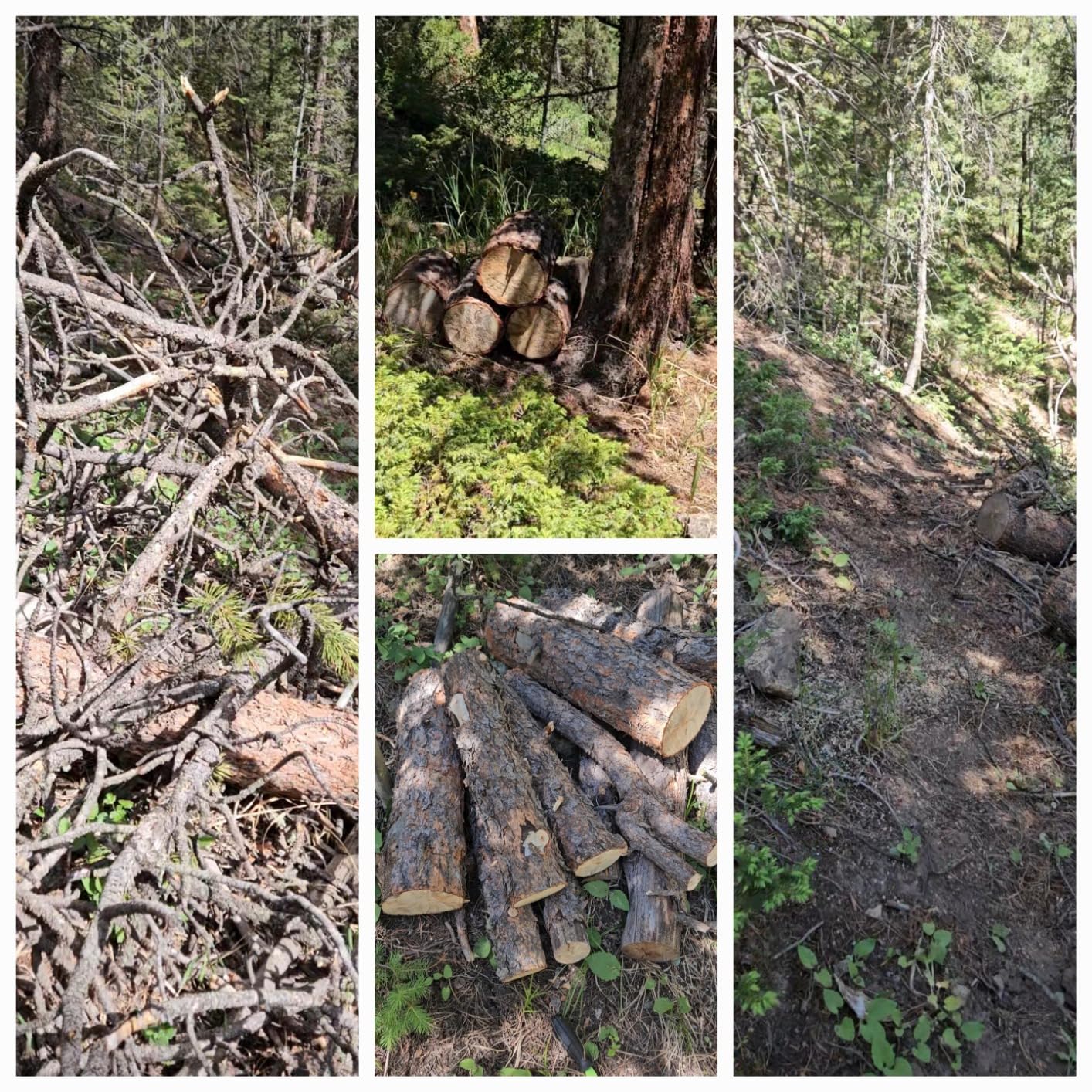 Husqvarna Power Axe 350i Cordless Electric Chainsaw, 18 Inch Chainsaw, Brushless Motor and Quiet Superior Cutting Power, 40V Lithium-Ion 7.5 Ah Battery and Charger Included, Gifts For Men, 970601202 customer photo 2