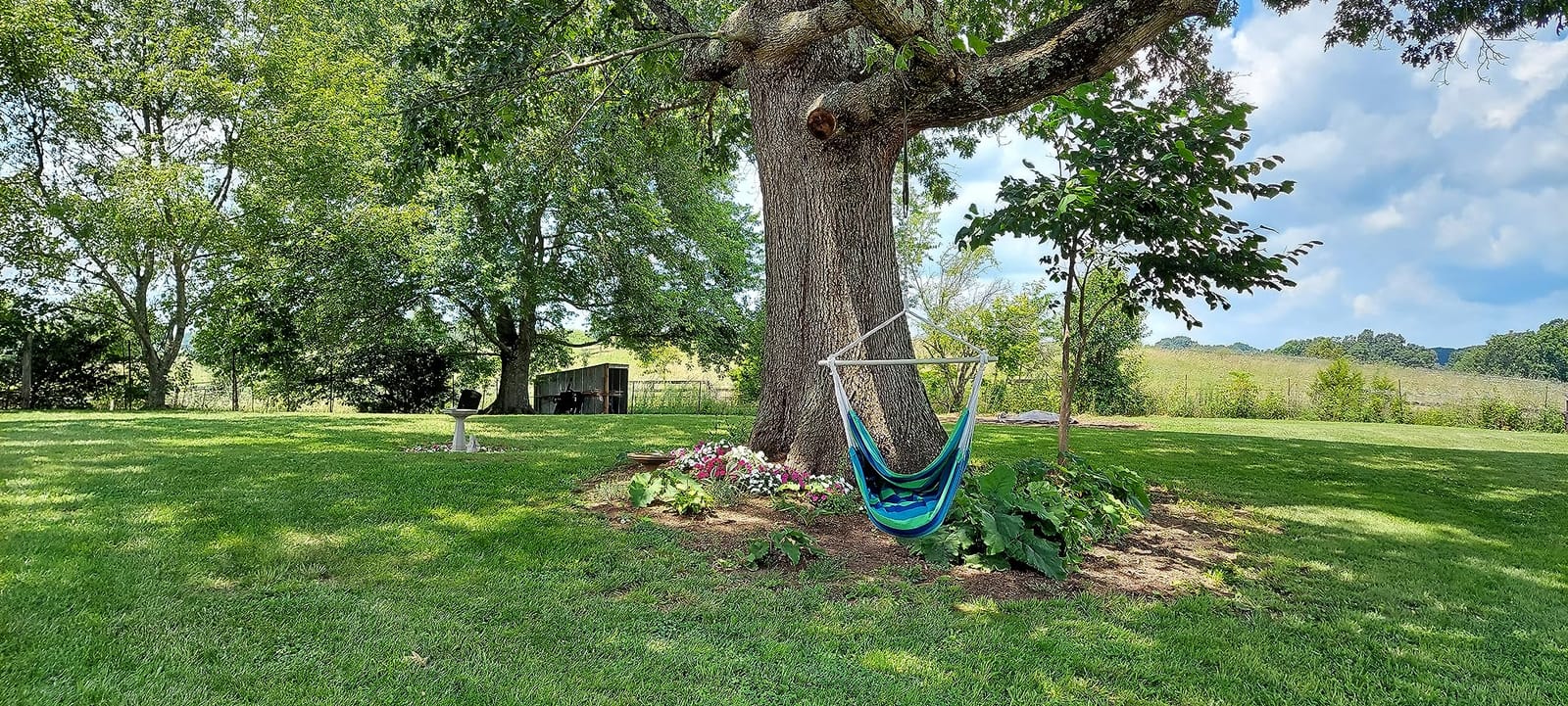 XXL Hammock Chair Hanging Rope Swing with 2 Cushions - Max 500lbs - Perfect for Patio, Porch, Bedroom, Backyard, Indoor or Outdoor - Includes Hanging Hardware Kits customer photo 1