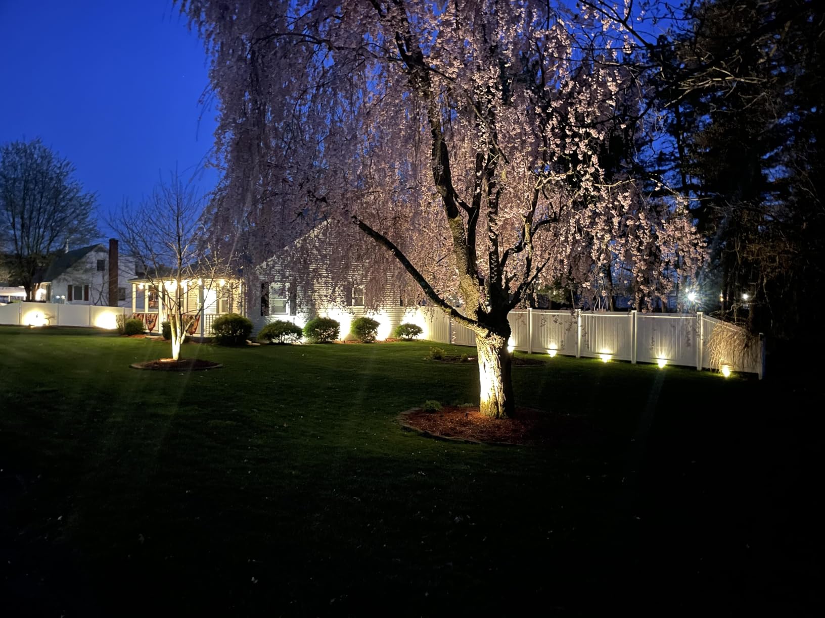 SUNVIE All-in-One Low Voltage Landscape Lighting Kit, Dusk to Dawn, 8 PCS | 3000K LED Low Voltage Landscape Lights, IP65 Waterproof, 3W Aluminum Landscape Spotlights for Yard Garden Tree House customer photo 1