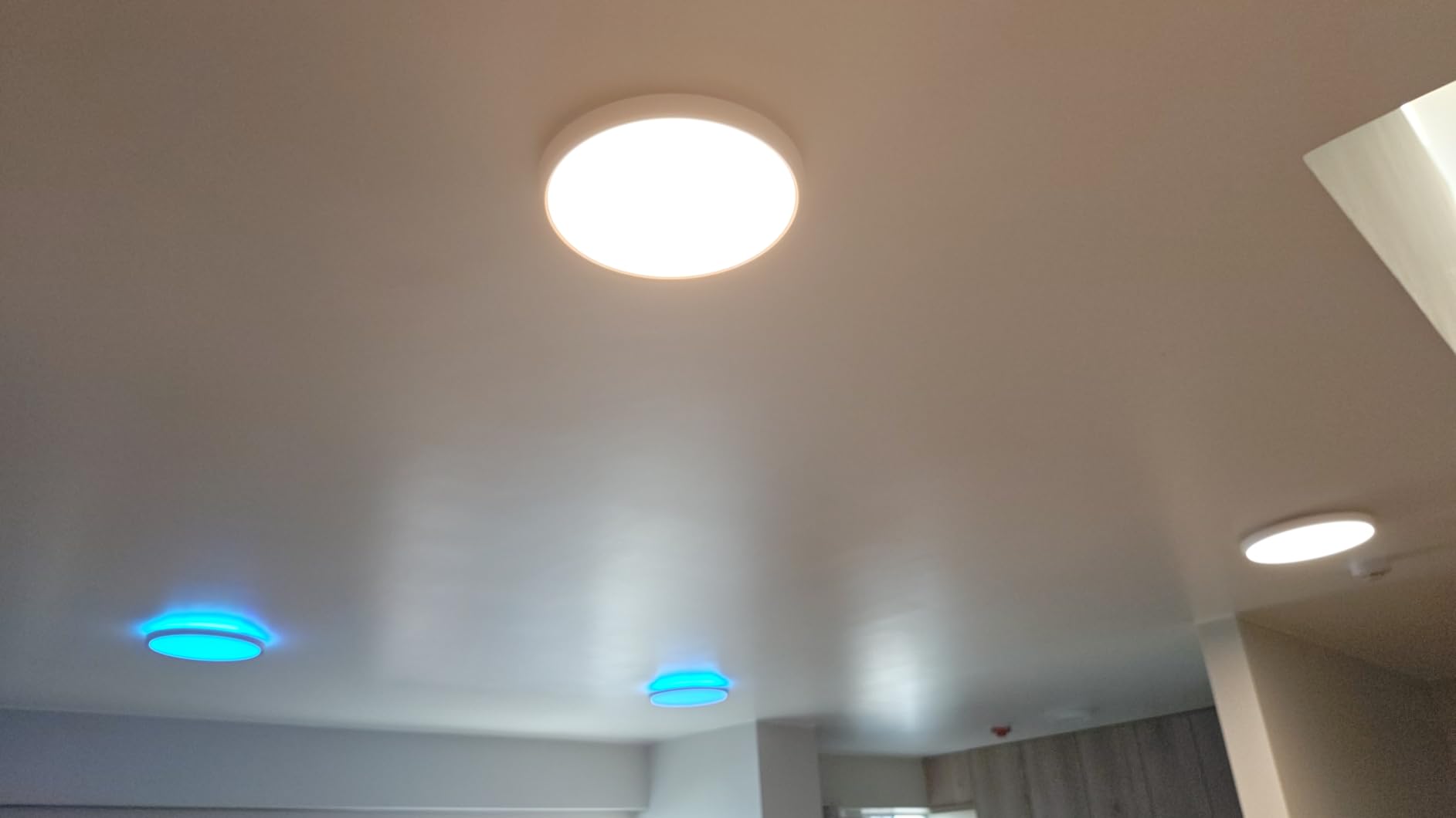 Govee Smart Ceiling Light, RGBIC 2400LM 2700K-6500K 12 Inch 1 Pack White | RGBIC LED Flush Ceiling Light Fixture, 2400LM DIY Colors, Works with Matter Alexa for Bedroom, Living Room customer photo 1