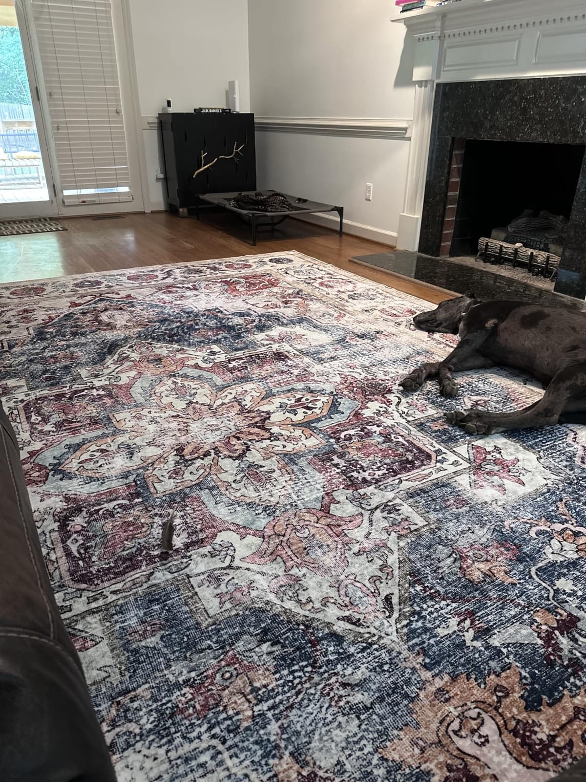 CHAMPLANT 6'x9' Washable Vintage Area Rug Boho Chic Medallion Distressed Design Non-Shedding Easy Care Ideal for High Traffic Areas in Living Room Bedroom Kitchen Office Large Carpet customer photo 1