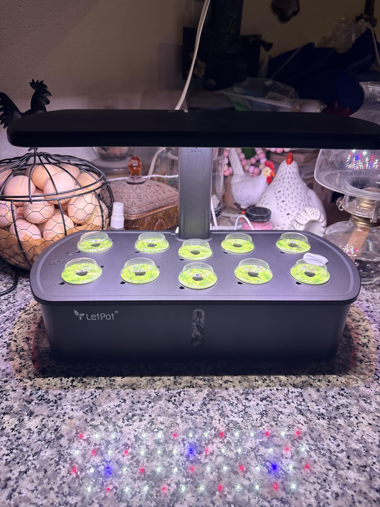 LetPot LPH-Air Hydroponics Growing System Kits, APP & WiFi Controlled Smart Indoor Garden with Adjustable 24W Grow Light Full Spectrum, 10 Pods Planter Indoor Gardening for Gifts, Kitchen, Vegetable customer photo 2