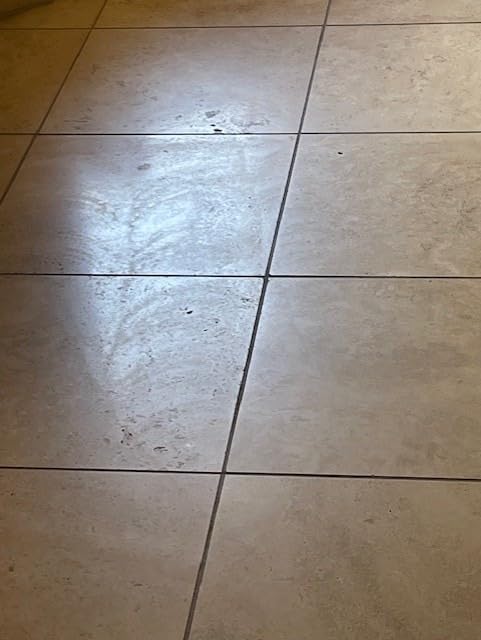 Shark Steam & Scrub with Steam Blaster Technology, White, S8201 | All-in-One Hard Floor Steam Mop with 3 Steam Modes & LED Headlights customer photo 1