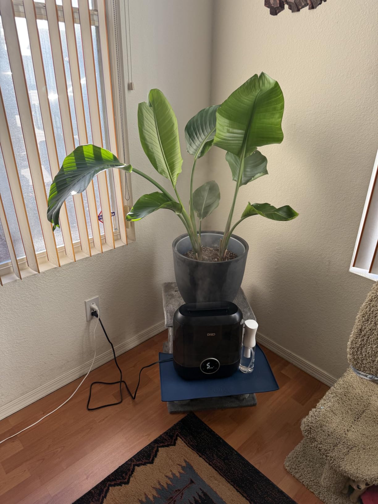 DREO 6L Smart Humidifiers for Bedroom, Large Room, 60H Runtime, Quiet 28dB | Top Fill Supersized Cool Mist Humidifier for Plants, Indoor, Home, Night Light, App/Touch/Voice Control, Ebony customer photo 2