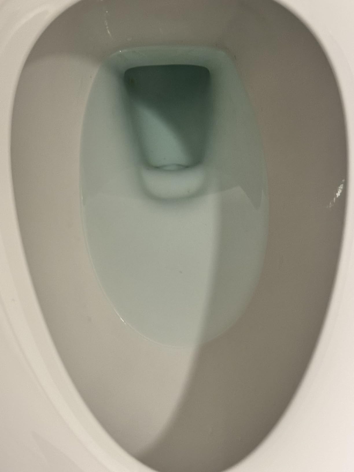 ACTIVE Automatic Toilet Bowl Cleaner Tablets Blue Gel Toilet Tank Cleaners, Septic-Safe Hard Water Ring Stain Remover, Smell Eliminator Heavy Duty Toilet Cleaning & Deodorizer, Fresh Scent - 12 Tabs customer photo 2