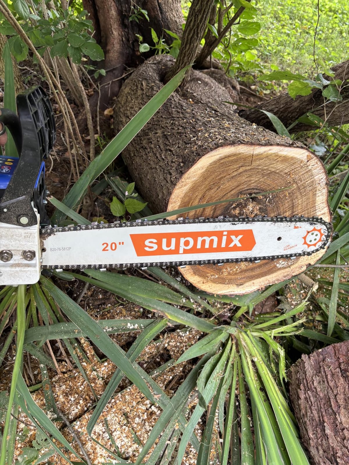 SUPMIXTOOLS 62cc Gas Chainsaw 20 Inch Gas Powered Chainsaws 2-Cycle Petrol | Handheld Gasoline Chain Saw Power Saws for Cutting Wood Tree Trimming customer photo 1