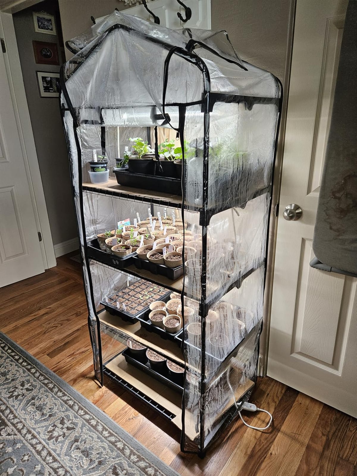 Bstrip Indoor Greenhouse with Grow Light, 4x20W Plant Lights with Timer customer photo 1