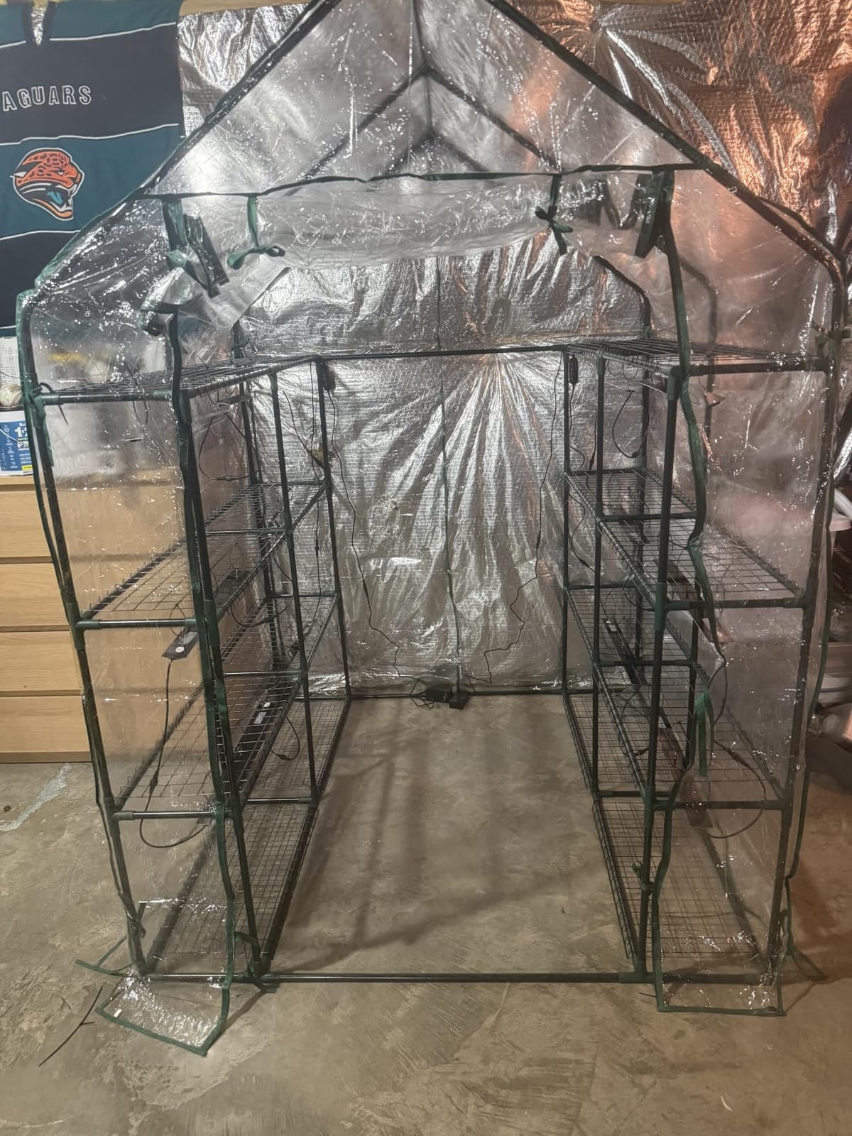 Bstrip Indoor Greenhouse with Grow Light, 4x20W Plant Lights with Timer customer photo 2