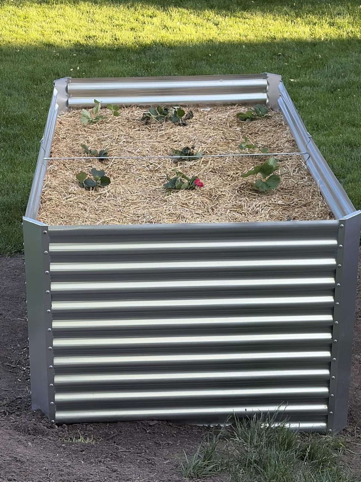 Land Guard 8x4x3ft Rectangular Galvanized Raised Garden Beds, Large-Capacity Metal Planter Box Outdoor, Durable Deep Raised Garden Bed 3ft Tall, Raised Beds for Gardening Vegetables, Classic Silver customer photo 2