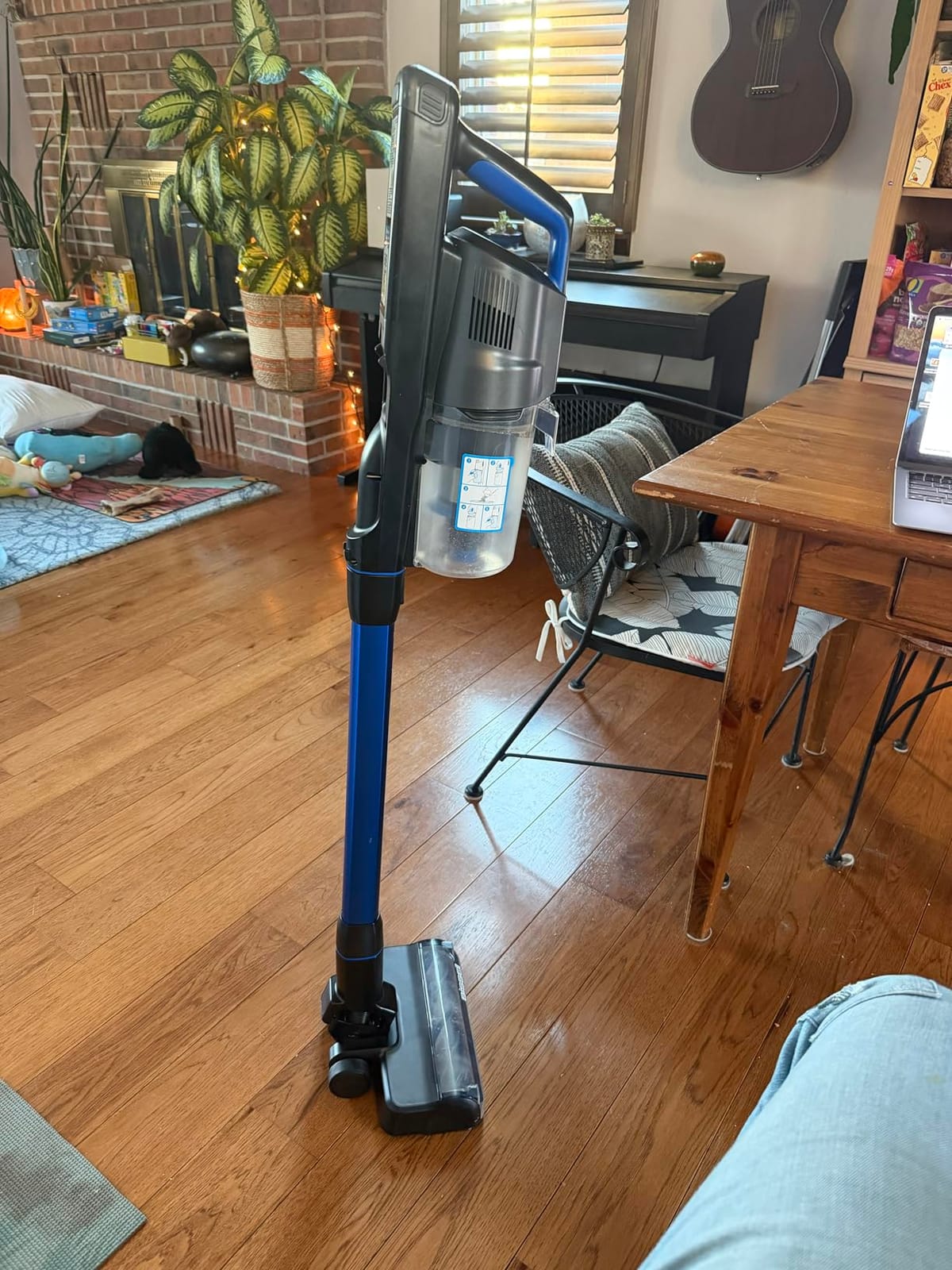 Bissell FurFinder 4052 customer photo 2