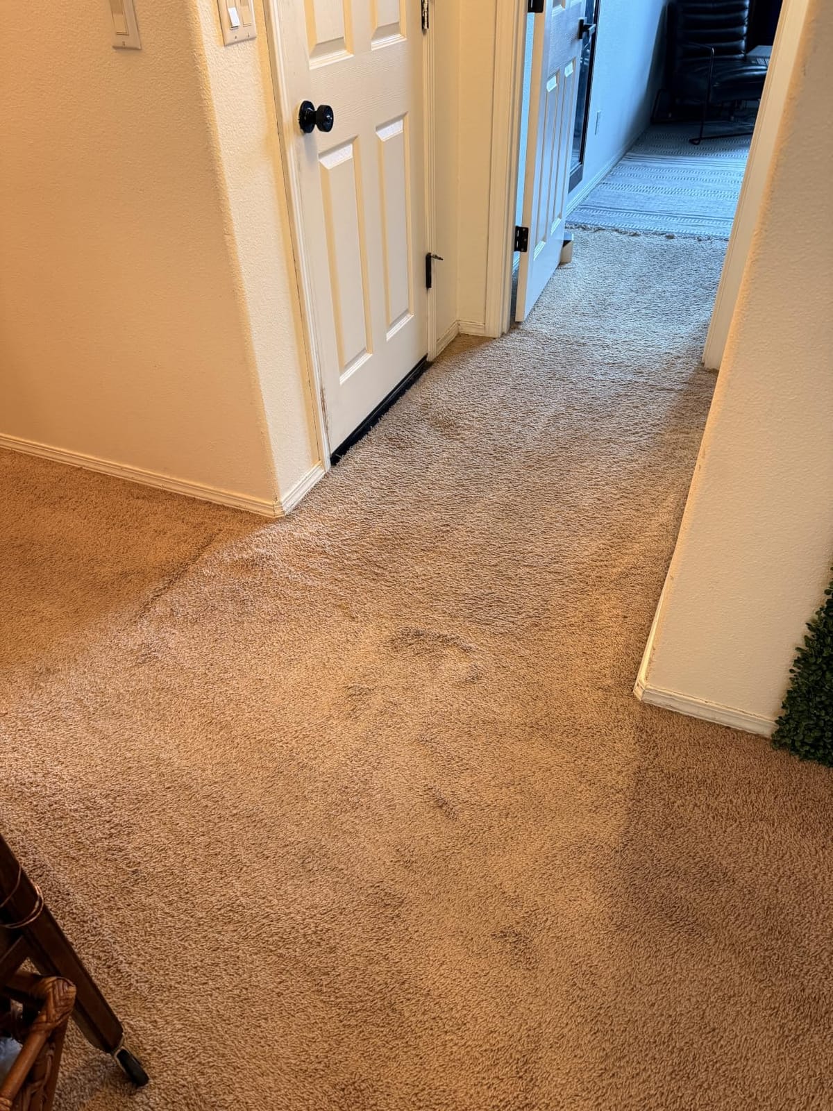 BISSELL Revolution HydroSteam Carpet Cleaner, 4123 | HydroSteam technology; 4-in. self-cleaning tough stain tool; formulas included; upright deep cleaner customer photo 1