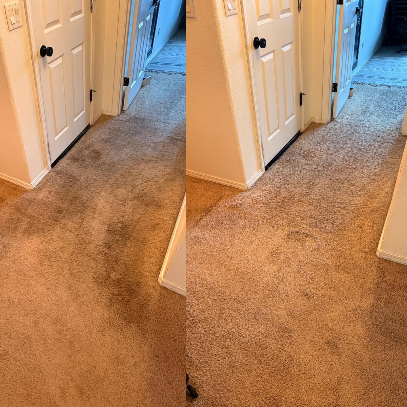 BISSELL Revolution HydroSteam Carpet Cleaner, 4123 | HydroSteam technology; 4-in. self-cleaning tough stain tool; formulas included; upright deep cleaner customer photo 2