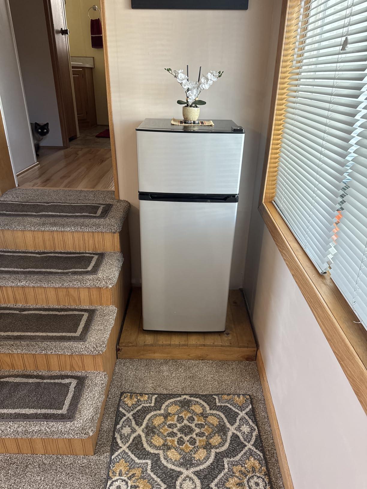 Manastin 4.5 Cu.Ft Mini Fridge Freezer for Dorm/Office, 2-Door, Quiet | 4.5 cu ft mini fridge with separate freezer, quiet 38dB for sleep, 7-level thermostat, adj shelves, for dorm/office/kitchen. customer photo 1