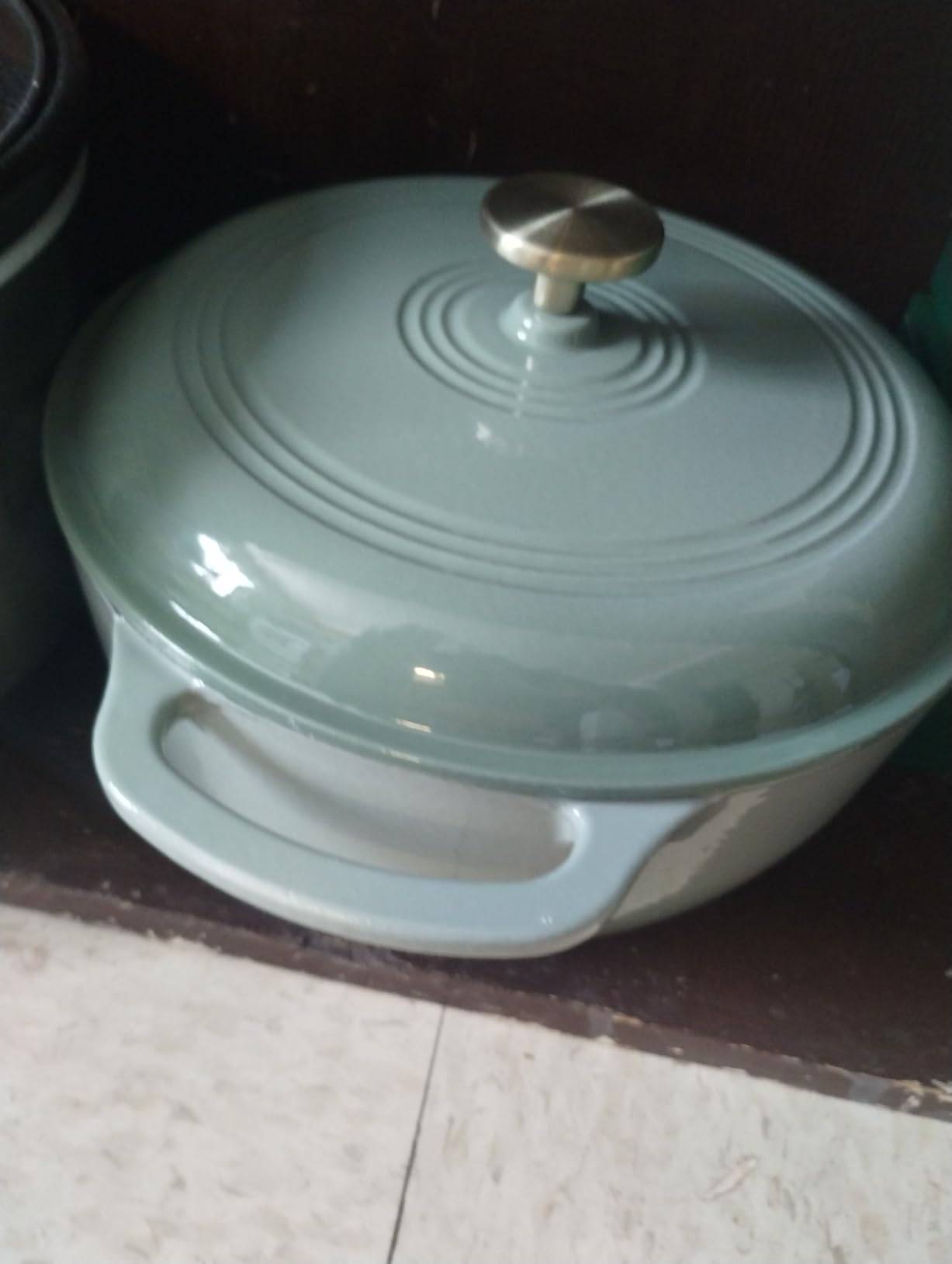 Best Choice Products Oval 7.5 Quart Enamel Cast-Iron Dutch Oven, Heavy-Duty Pre-Seasoned for Baking, Cooking with Side Handles - Sage Green customer photo 2