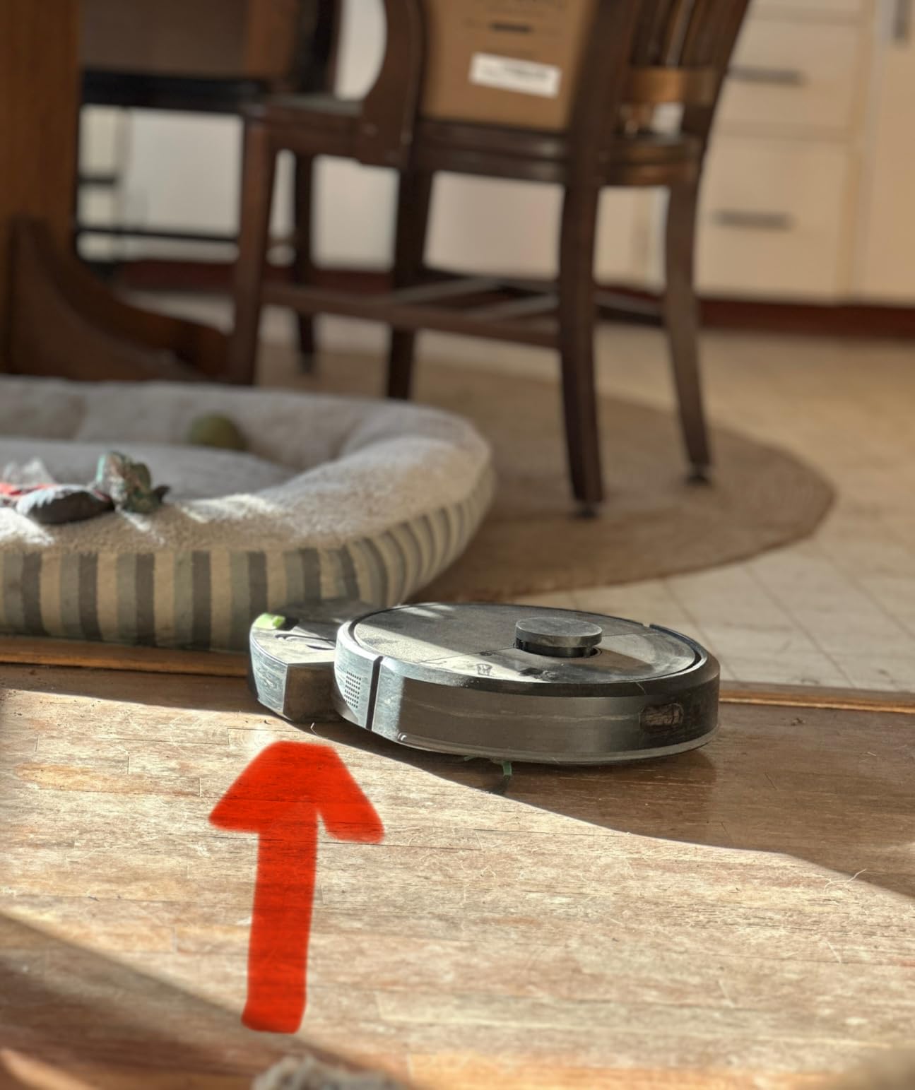 Roomba 105 Vac customer photo 1