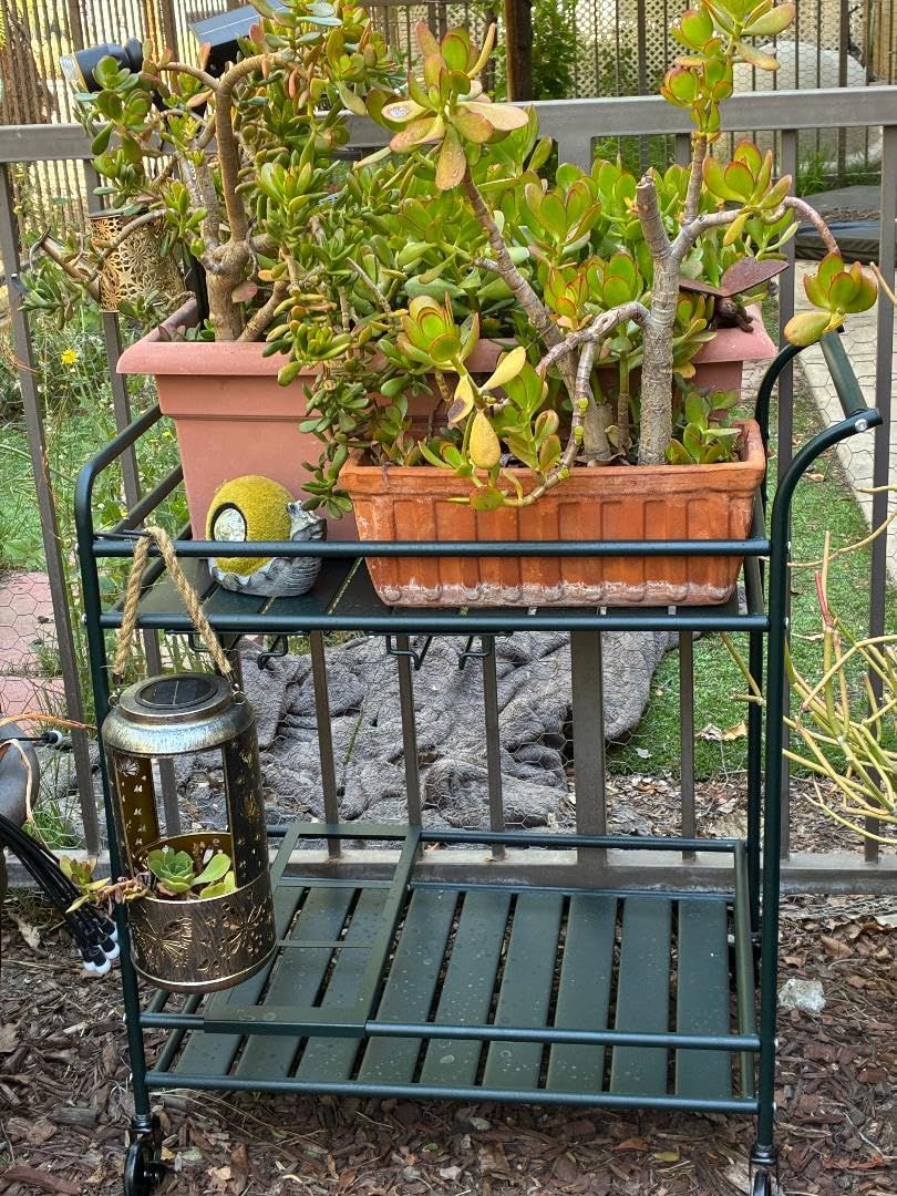 Best Choice Products Rolling Bar Cart, Mobile Home Bar Serving Cart, Serving Station w/ 2 Tier Shelves, Wine Rack, Lockable Wheels - Teal customer photo 2