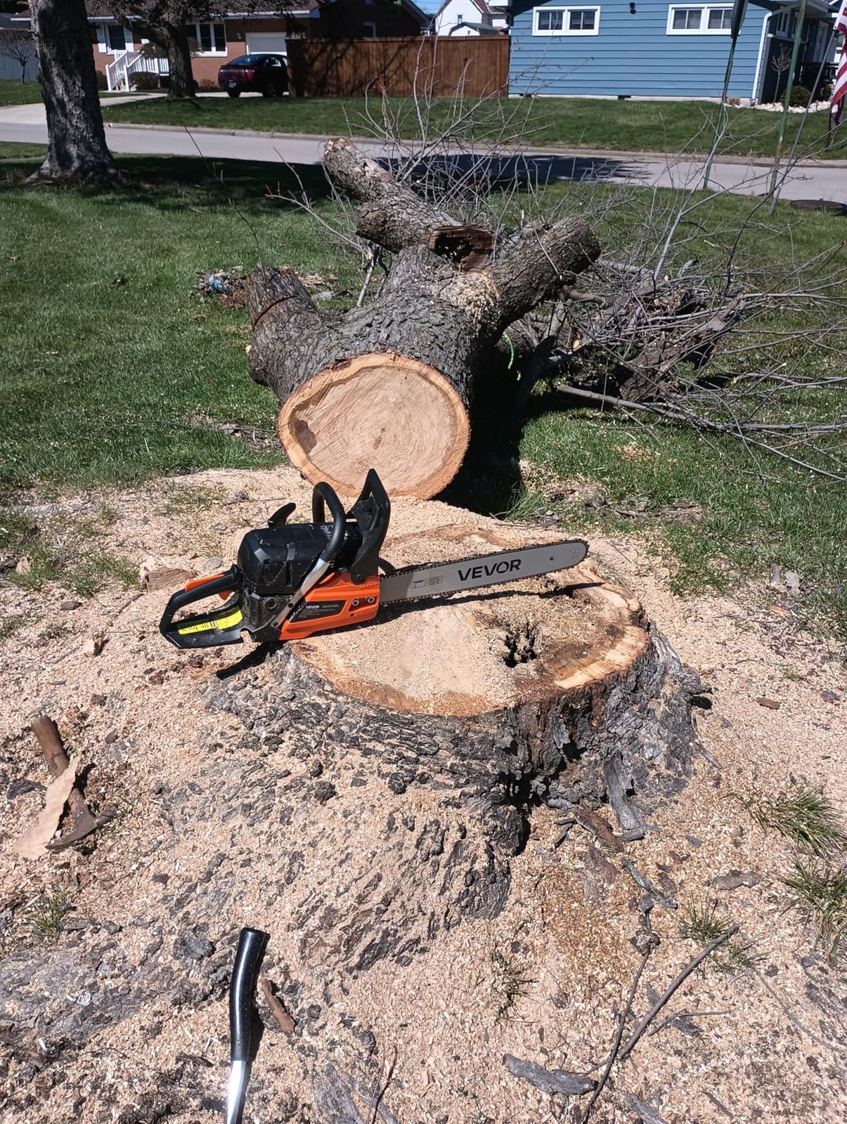 VEVOR Gas Powered Chainsaw 20 inch 62CC 3.8 HP 2 Stroke Engine Gas Chainsaw | Power Chain Saw for Logging with Non-Slip Handle, Dual Fuel Tanks, for Wood Cutting, Tree Trimming, and Land Clearing Use customer photo 1