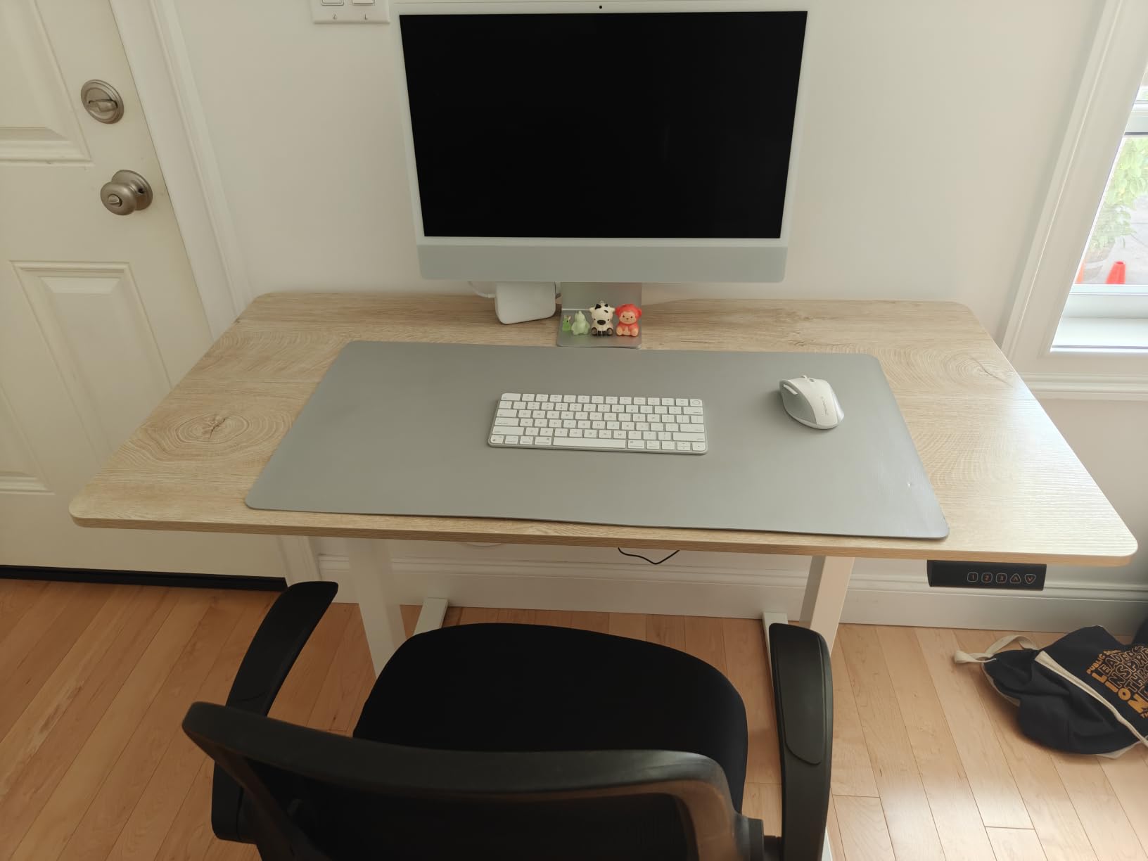 FEZIBO Standing Desk 48 × 24 Inch Electric Height Adjustable, Maple | Sit and Stand Up Adjustable Desk, Home Office Computer Desk with 3 Customizable Memory Presets customer photo 1