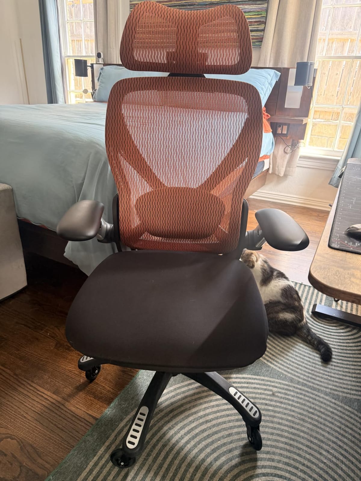 ELABEST X100 Ergonomic Mesh Office Chair with Footrest, Big and Tall Home Desk Chair with 5D Flip-Up Arms, Adjustable 3D Lumbar Support, Gaming & Executive Computer Chair (Foggy Morning) customer photo 1