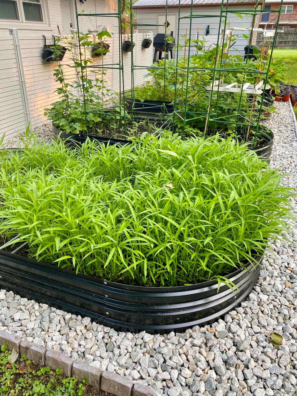 WORKPRO 2PK 4x2x1ft Outdoor Galvanized Raised Garden Bed Kit | Rust & Corrosion Protection, Safe Edge, Easy Assembly Planters for Vegetables & Flowers, Black customer photo 2