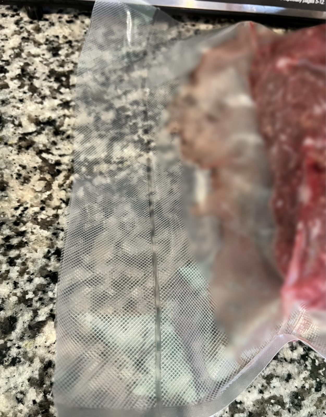 Gasbye Chamber Vacuum Sealer – 5.3QT Large Chamber, Replaceable 11.5