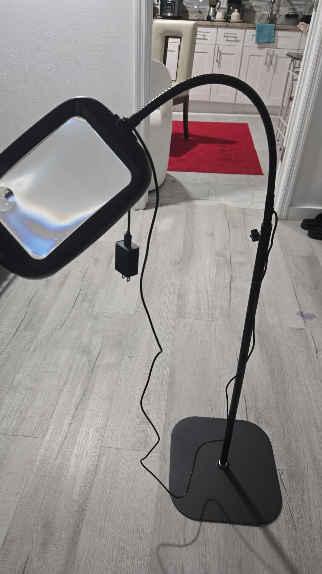 30X 10X Extra Large Floor Magnifying Glass with Light and Stand customer photo 1