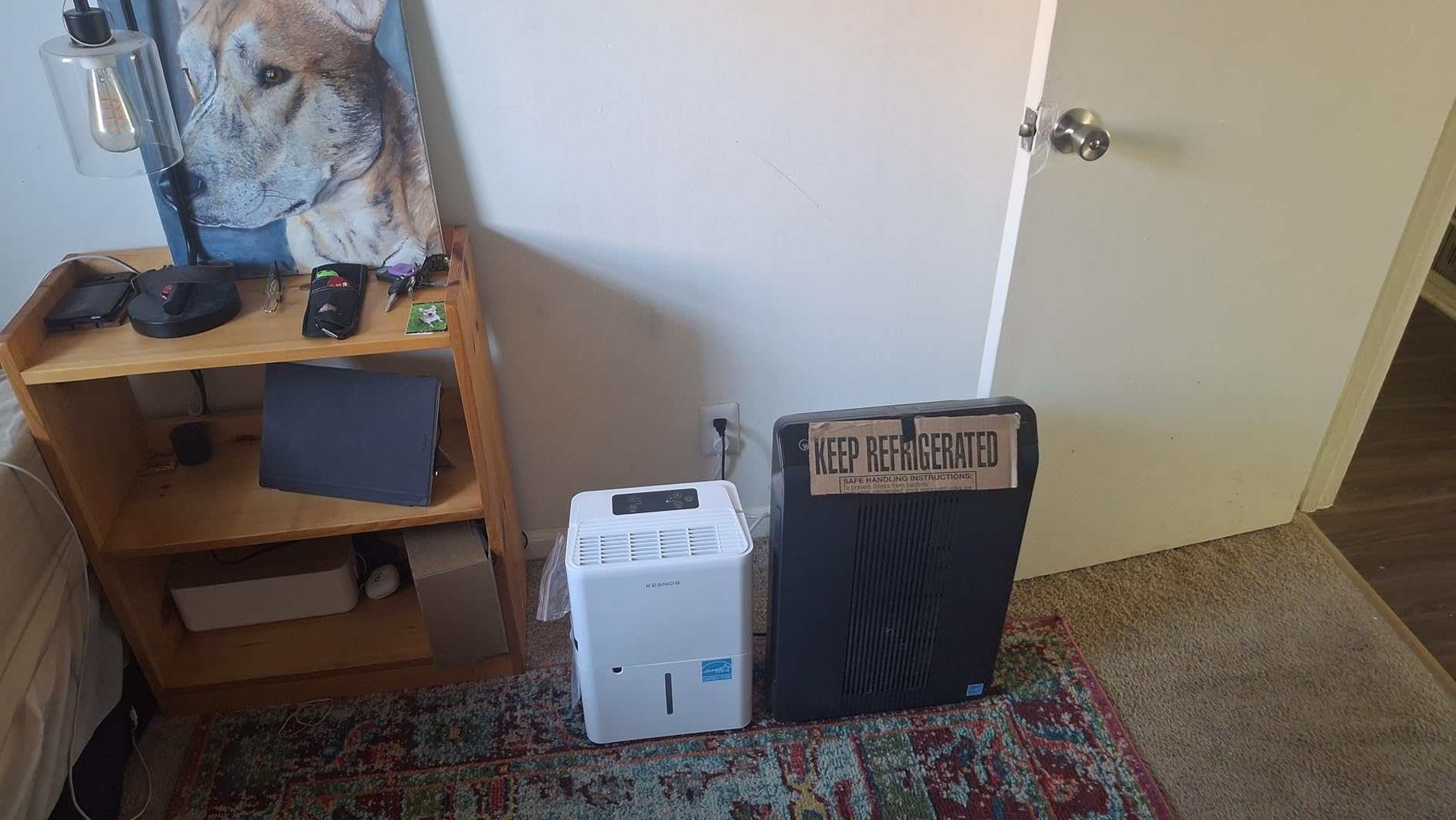Kesnos 80 Pints Energy Star Dehumidifier for Basement & Home, 6,000 Sq. Ft. | 30-80% RH Humidity Control, Front Humidity Display, 1.06-Gal Water Tank with Drain Hose, Ideal for Bedroom, Bathroom, etc. customer photo 1