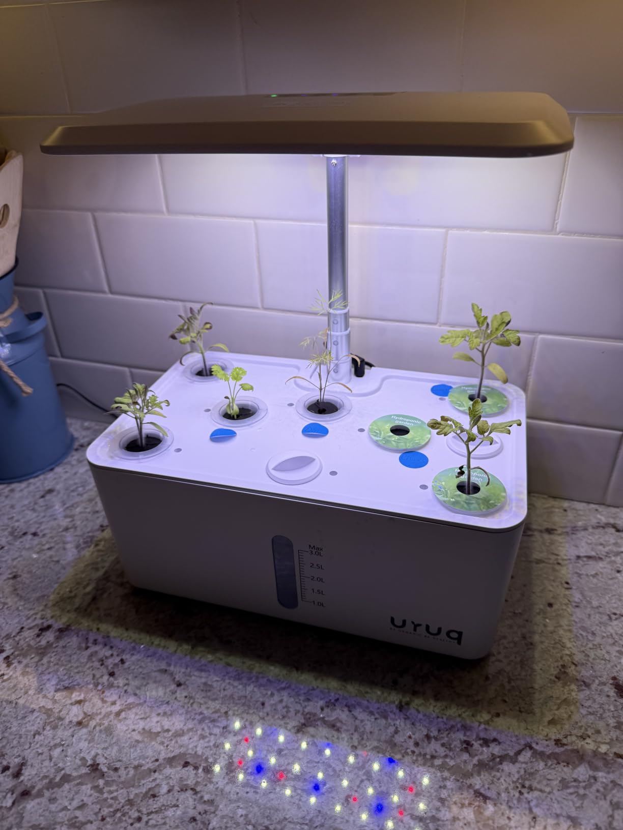 URUQ 8 Pods Hydroponics Growing System with LED Grow Light - Black | Quiet Water Pump, Automatic Timer, Adjustable Height for Fresh Herbs, Vegetables, Indoor Kitchen Gardening Gifts for Women customer photo 1
