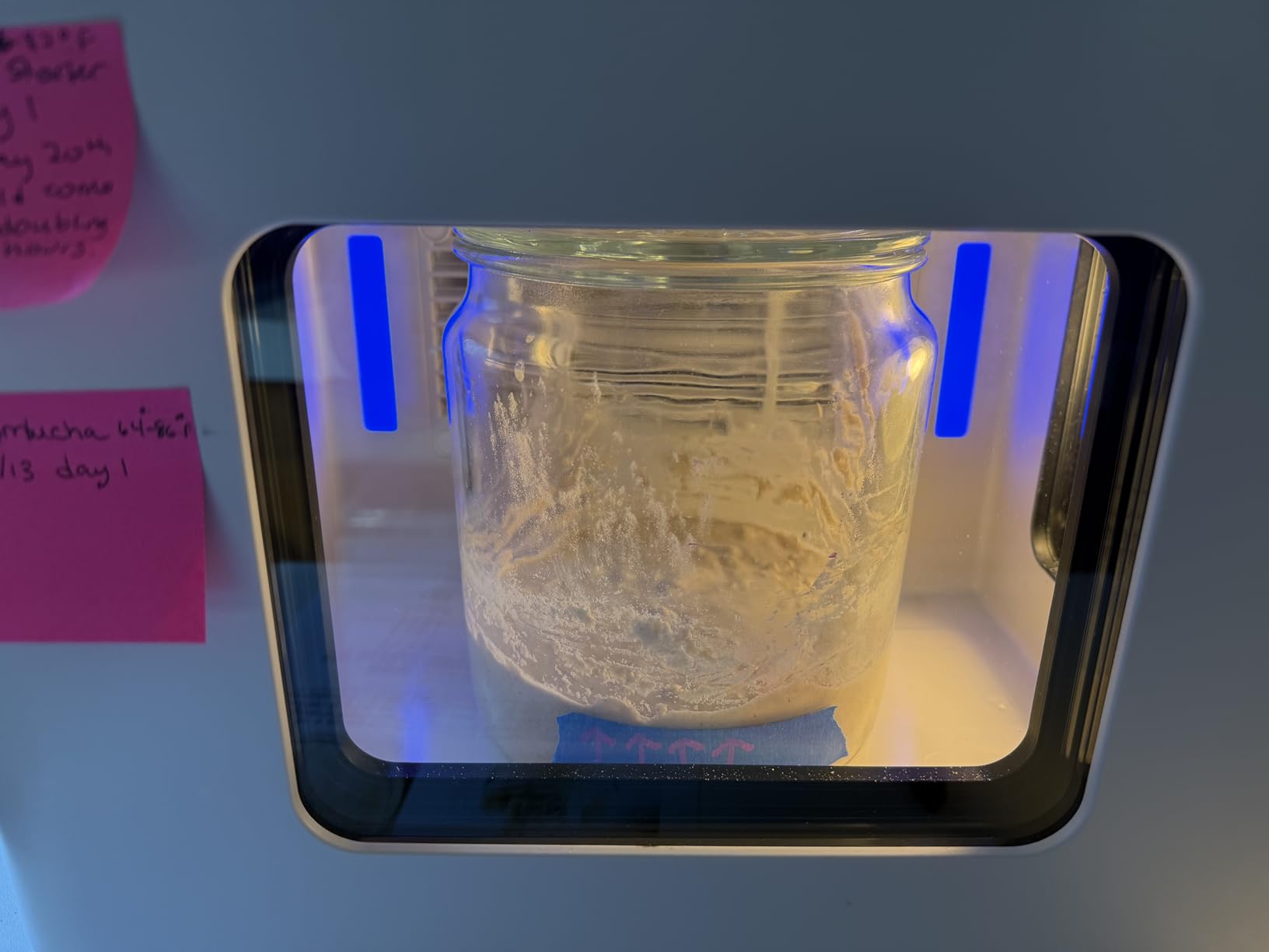 12.8L Smart Yogurt Maker Machine & Fermentation Kit, Kombucha, Kimchi, Natto, tempeh, Sourdough Maker, Temp Control 50-115F, Timer 1 Hr -30 Day, Post-Ferment Cooling customer photo 1
