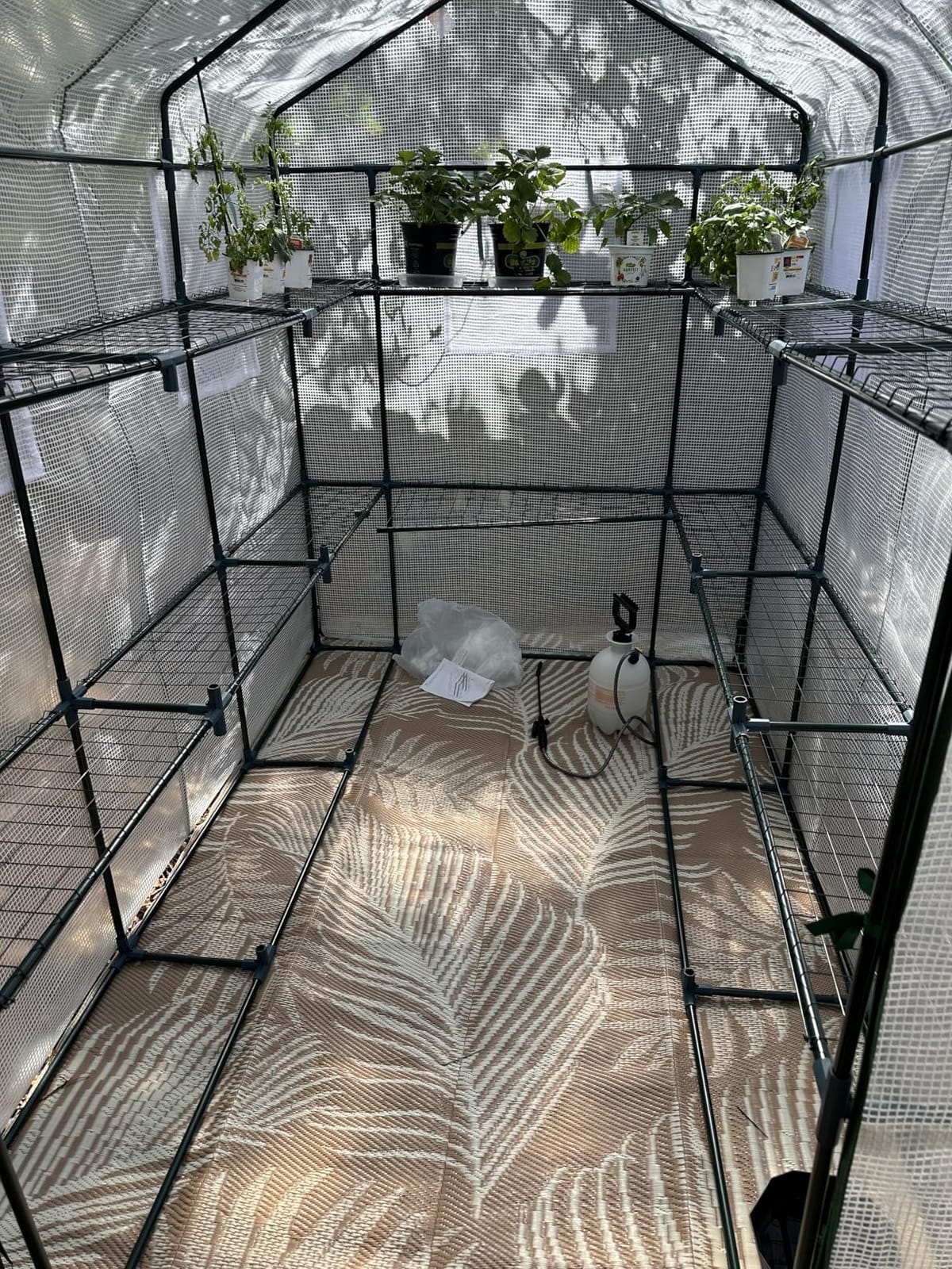 KING BIRD Premium Greenhouse for Outdoors, 56x56x78 in Walk-in Hot House | with Thickened Cover, Reinforced Frame, Screen Windows & Mesh Door, 4 Tiers 12 Shelves for Outside Garden Seedlings, Clear customer photo 2