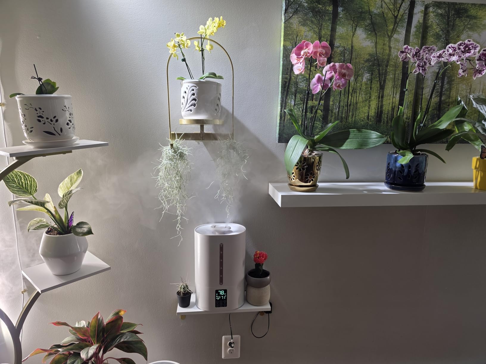 Coolfiqu 6L Warm & Cool Mist Humidifiers for Bedroom, Large Room, Plants | Quiet Top Fill Ultrasonic Humidifier, Essential Oil Diffuser, Auto Humidity Control, Hot Mist Desk Humidifiers, 360° Nozzle customer photo 2