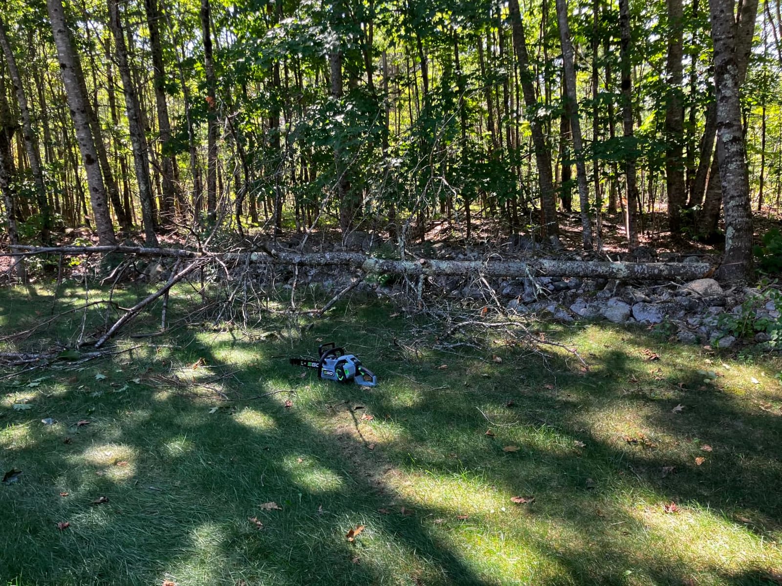 EGO POWER+ Chain Saw, 18 inch Battery Powered Chainsaw, Electric Cordless, Battery and Charger Not Included - CS1810 customer photo 1