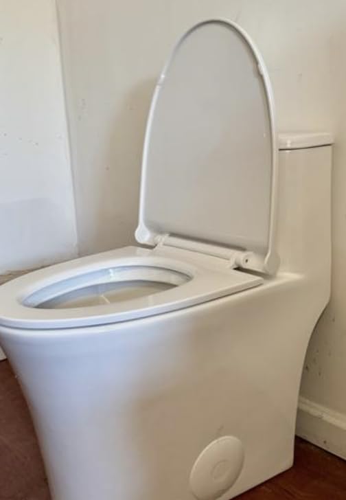 One Piece Sleek Modern Toilet, ADA Chair Seat Height 17