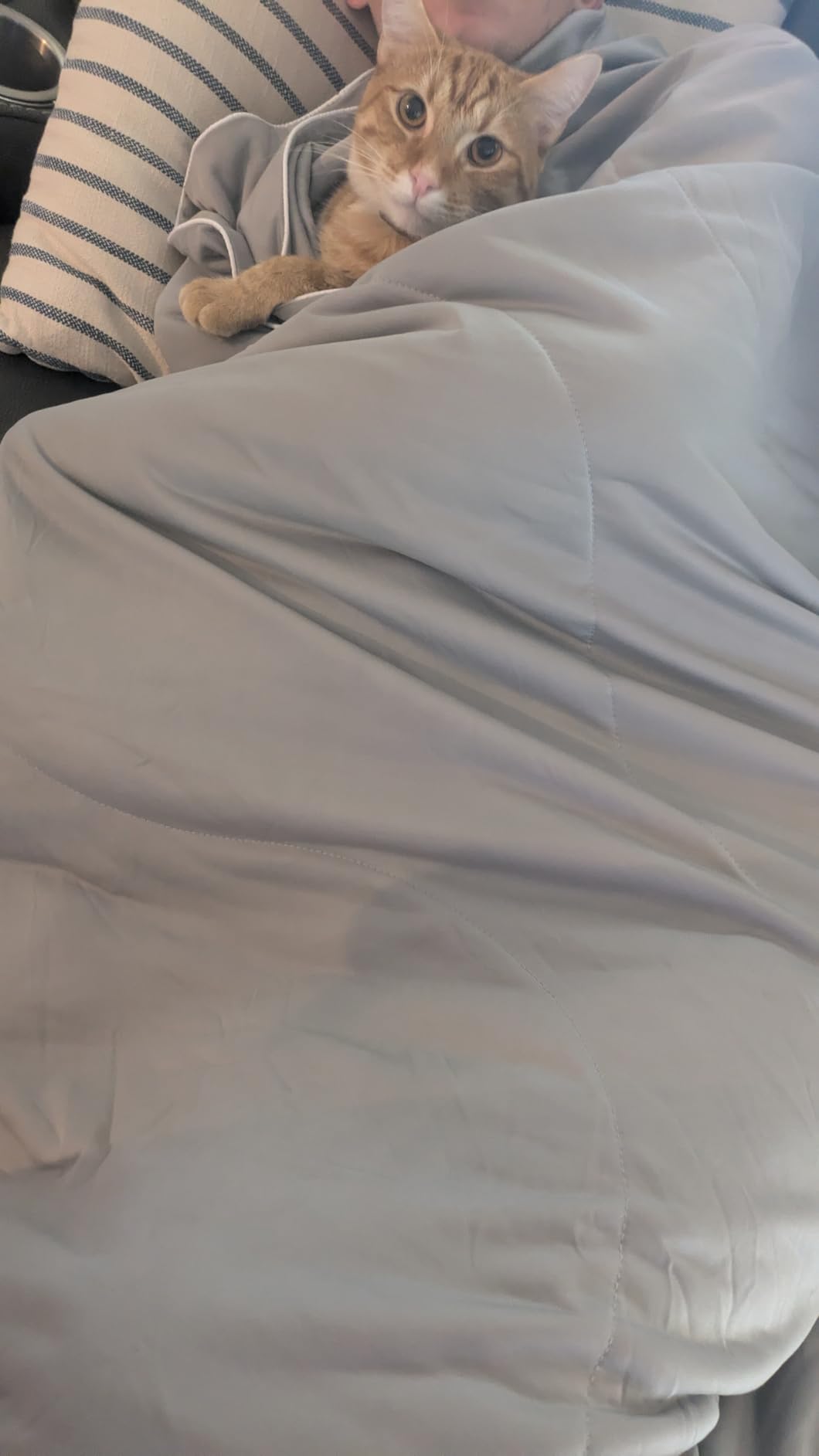 DOWNCOOL Cooling Comforter Queen Size, Blanket with Cooling Pillowcases | Summer Comforter for Hot Sleepers, 3-Piece Lightweight Bedding Set for Night Sweats, Grey 90x90 customer photo 1