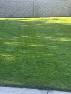 Segway Navimow X430 Robot Lawn Mower Wire Free, for up to 1 Acre, 4WD for 84% Slopes, Zero-Turn for Damage-Free Mowing, ORV-Tuned Lawnmower, MowMentum with 2 × 180W Motors, 0.75-4 in Cutting Height customer photo 2