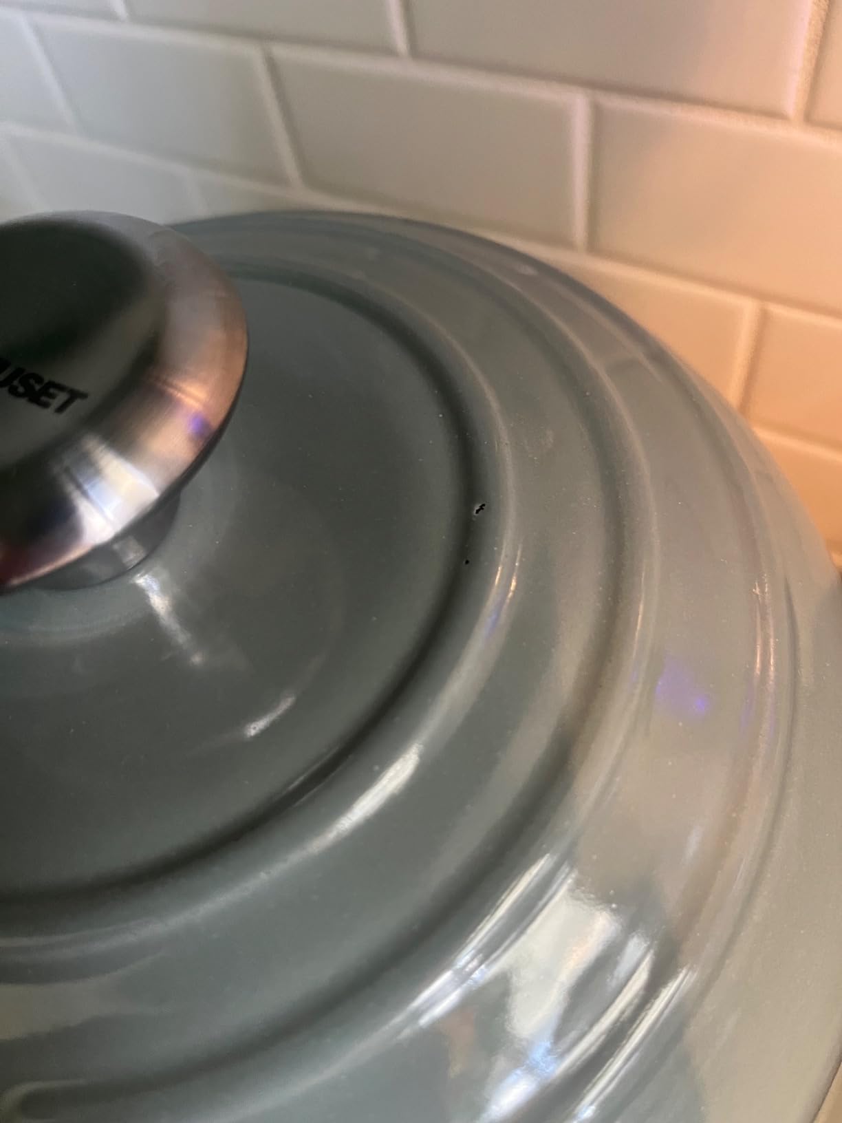 Le Creuset Enameled Cast Iron Oval Bread Oven, 11.5 inch, Sea Salt customer photo 2