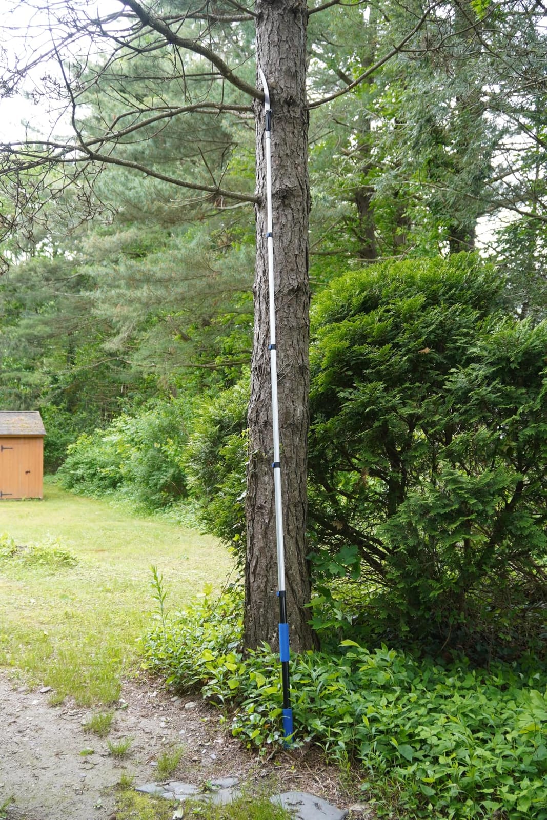 26FT Reach Pole Saws for Tree Trimming with 5-20FT Telescoping Extension Pole, Anti-slip Handle, Manual Pruning Pole Saw with 19