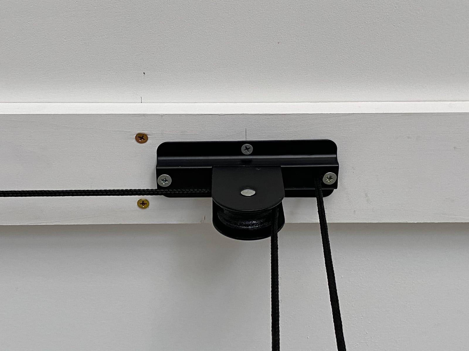 Racor Ceiling-Mounted Bike Lift, Holds Up to 50 lbs customer photo 1