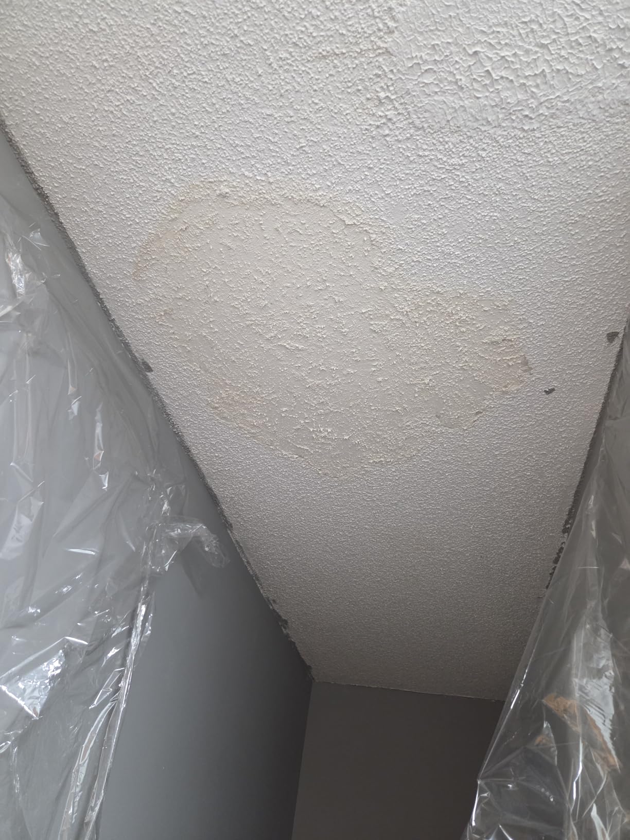 Zinsser Covers Up Ceiling Paint & Primer Spray, White, 13oz, Flat White customer photo 2