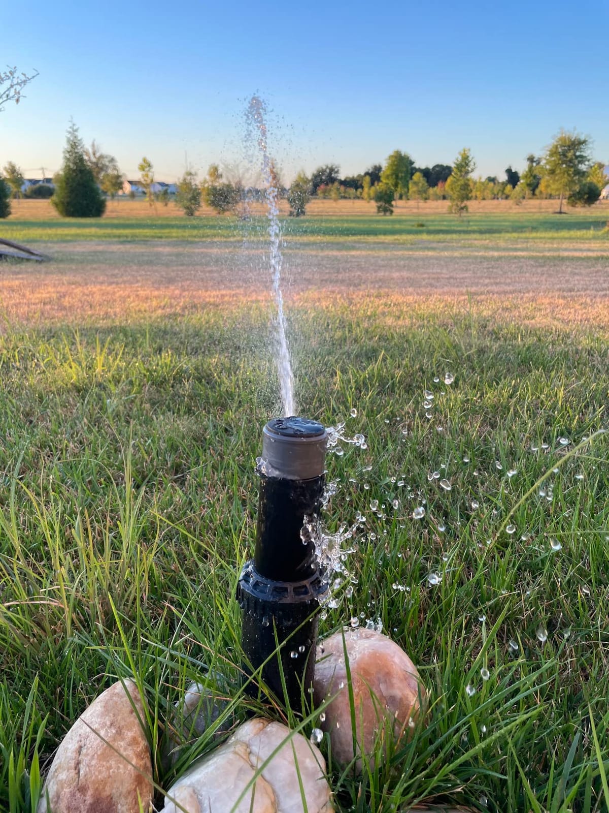 In-Ground 5-Inch Pop-Up Adjustable Sprinkler 2-Pack With Quick Hose Connectors And Splitter, QSK-742 customer photo 1