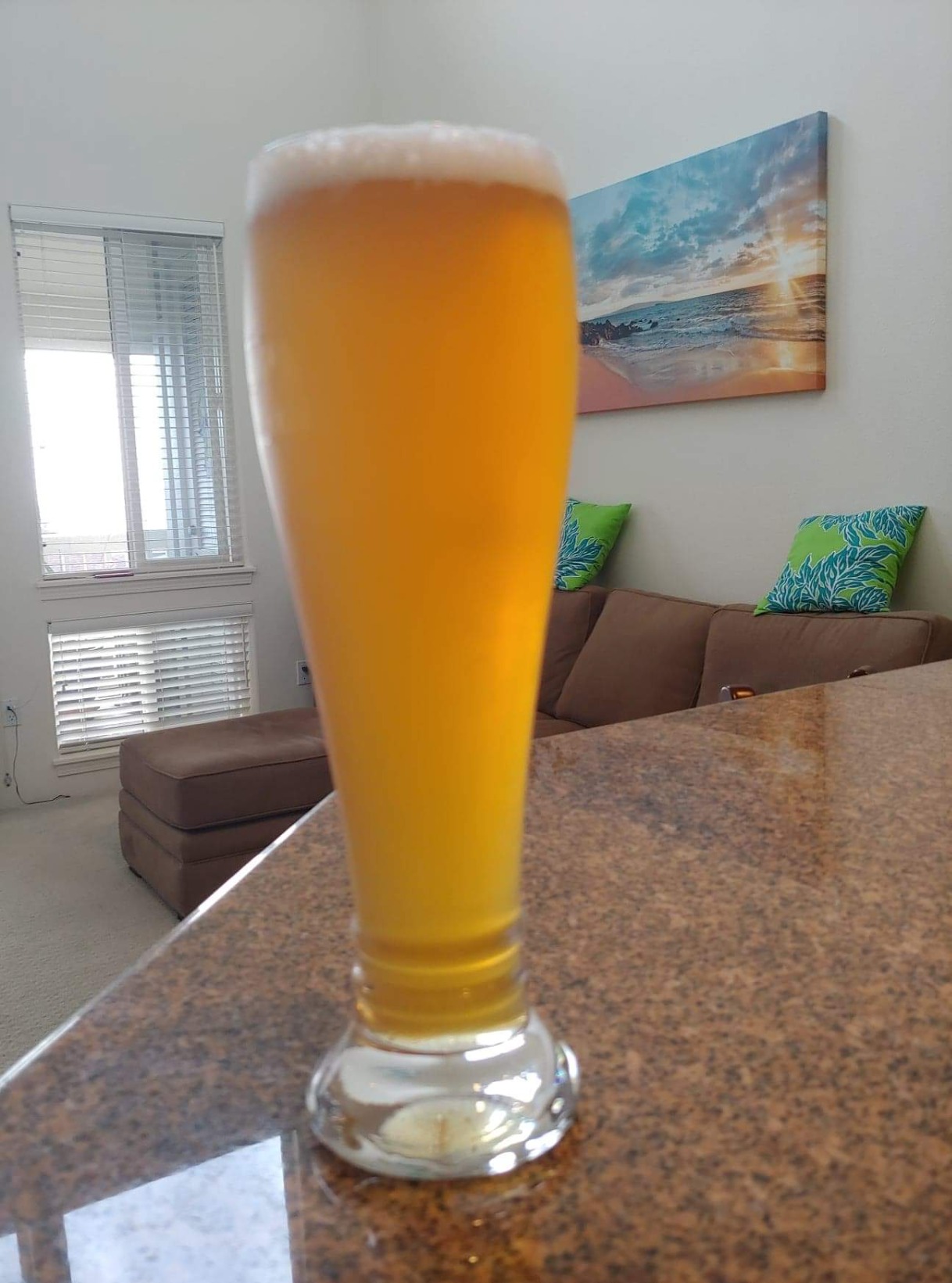 Schott Zwiesel Tritan Crystal Glass Brussels Pilsner 13-1/2-Ounce, Set of 6 customer photo 1